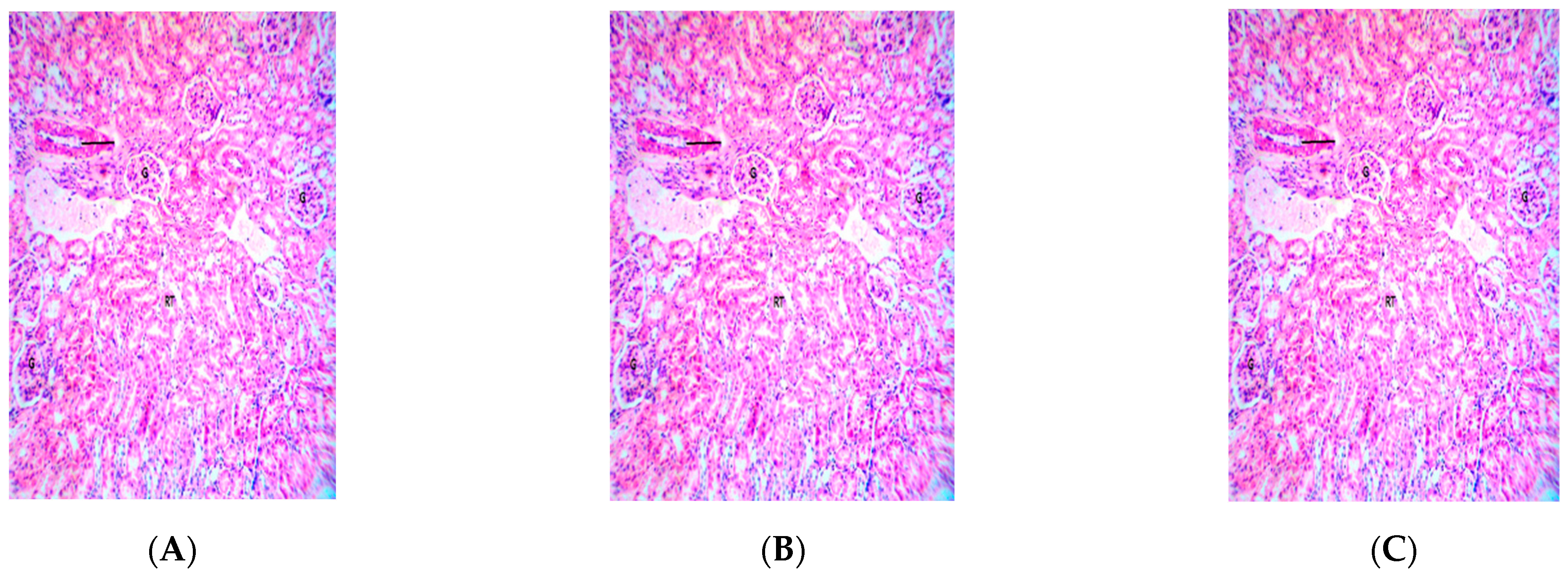 Biologics 02 00006 g006a