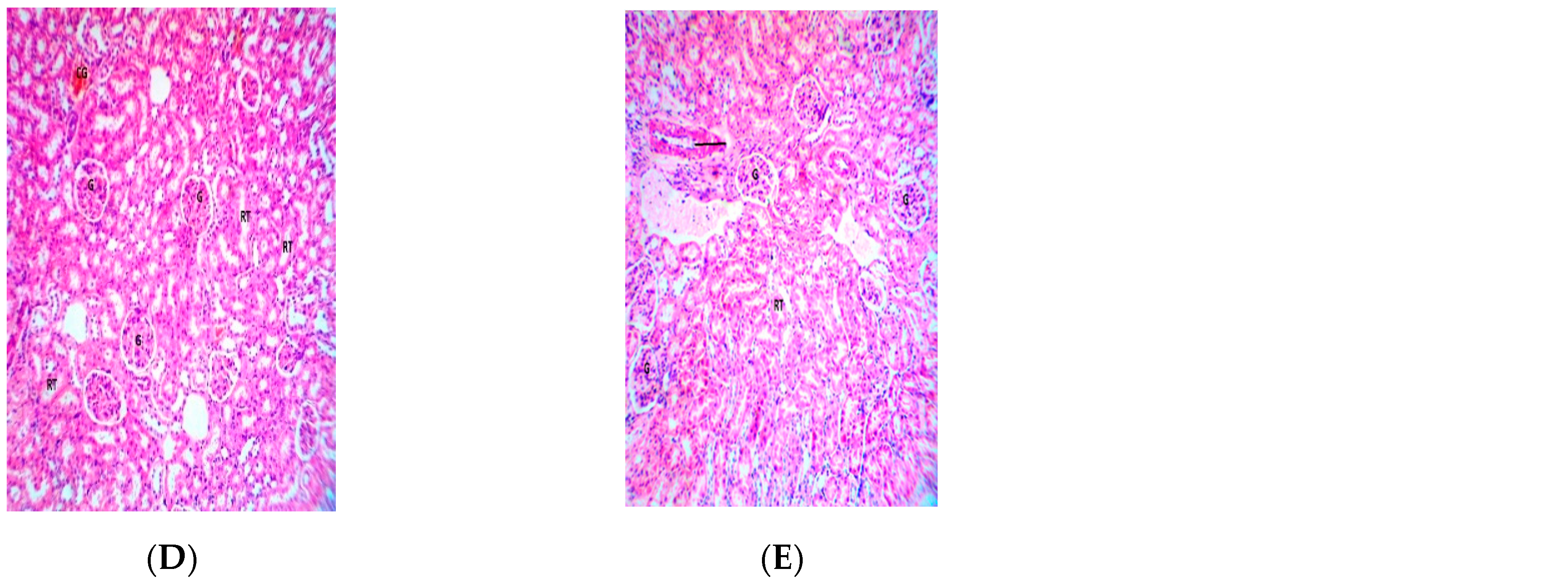 Biologics 02 00006 g006b