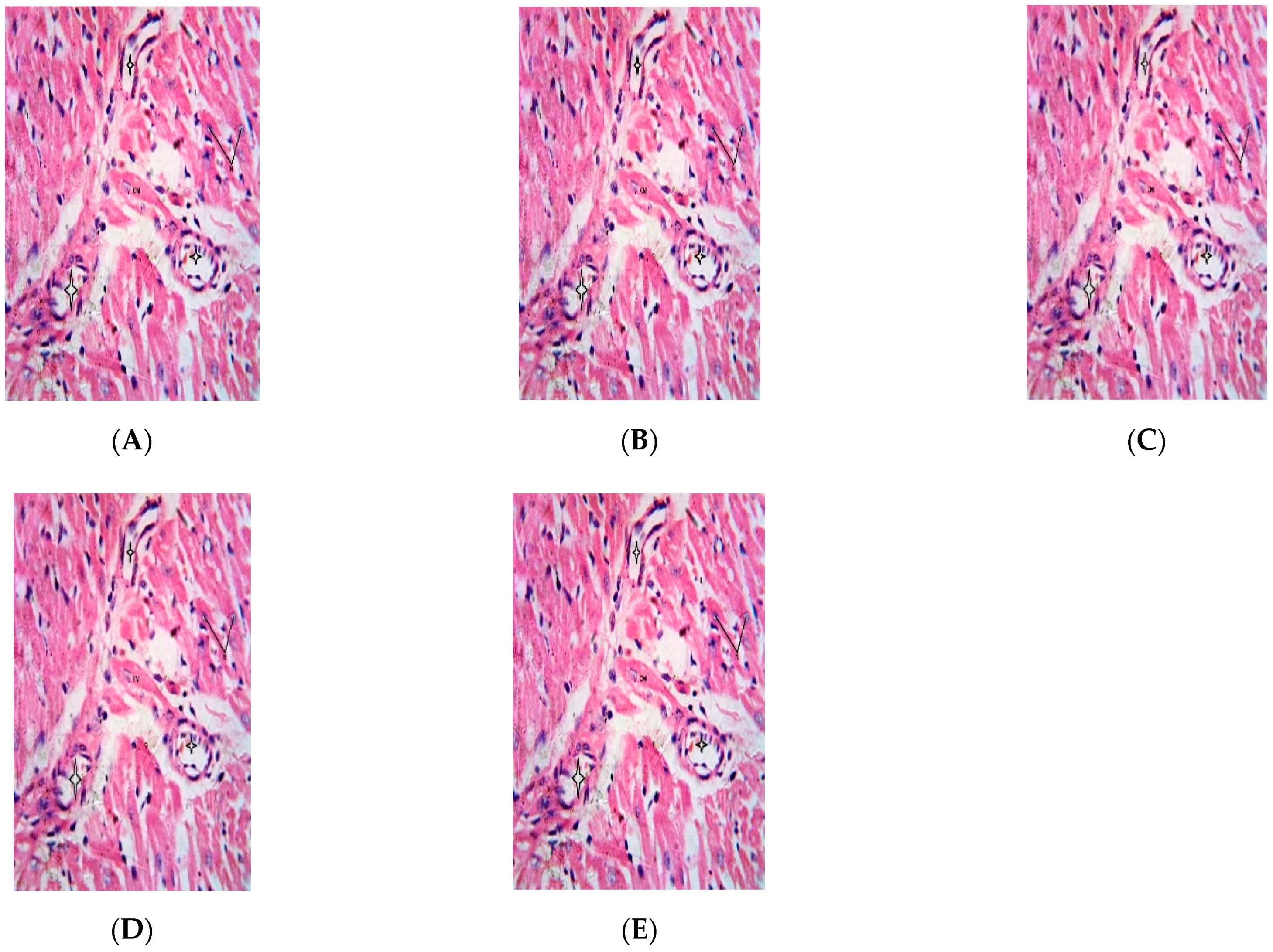 Biologics 02 00006 g007
