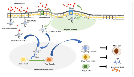 Novel Strategy for Alzheimer's Disease Treatment through