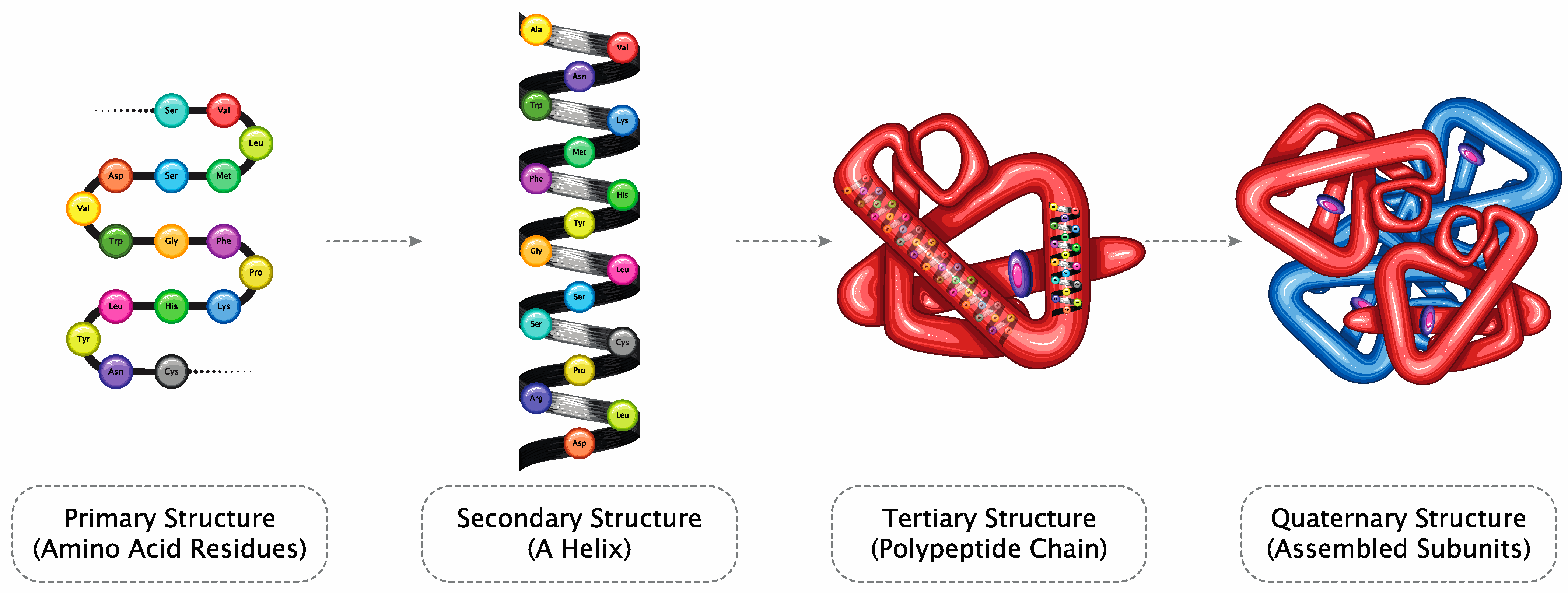 Biologics 03 00005 g001 Biologics 03 00005 g001