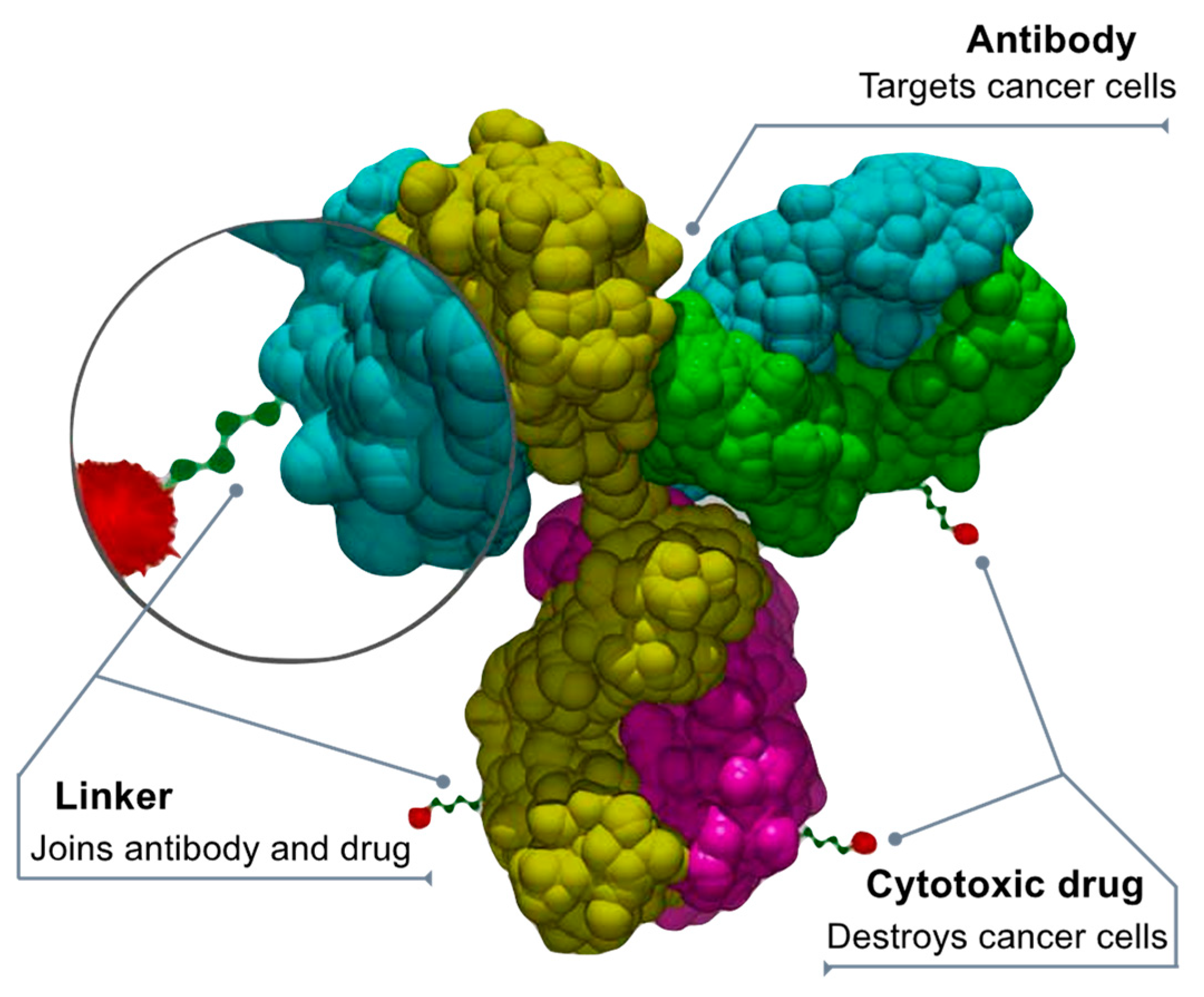 Biologics 03 00005 g004 Biologics 03 00005 g004