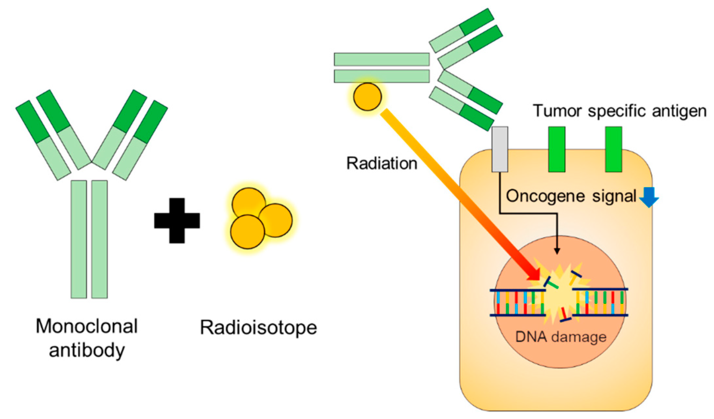 Biologics 03 00005 g005 Biologics 03 00005 g005