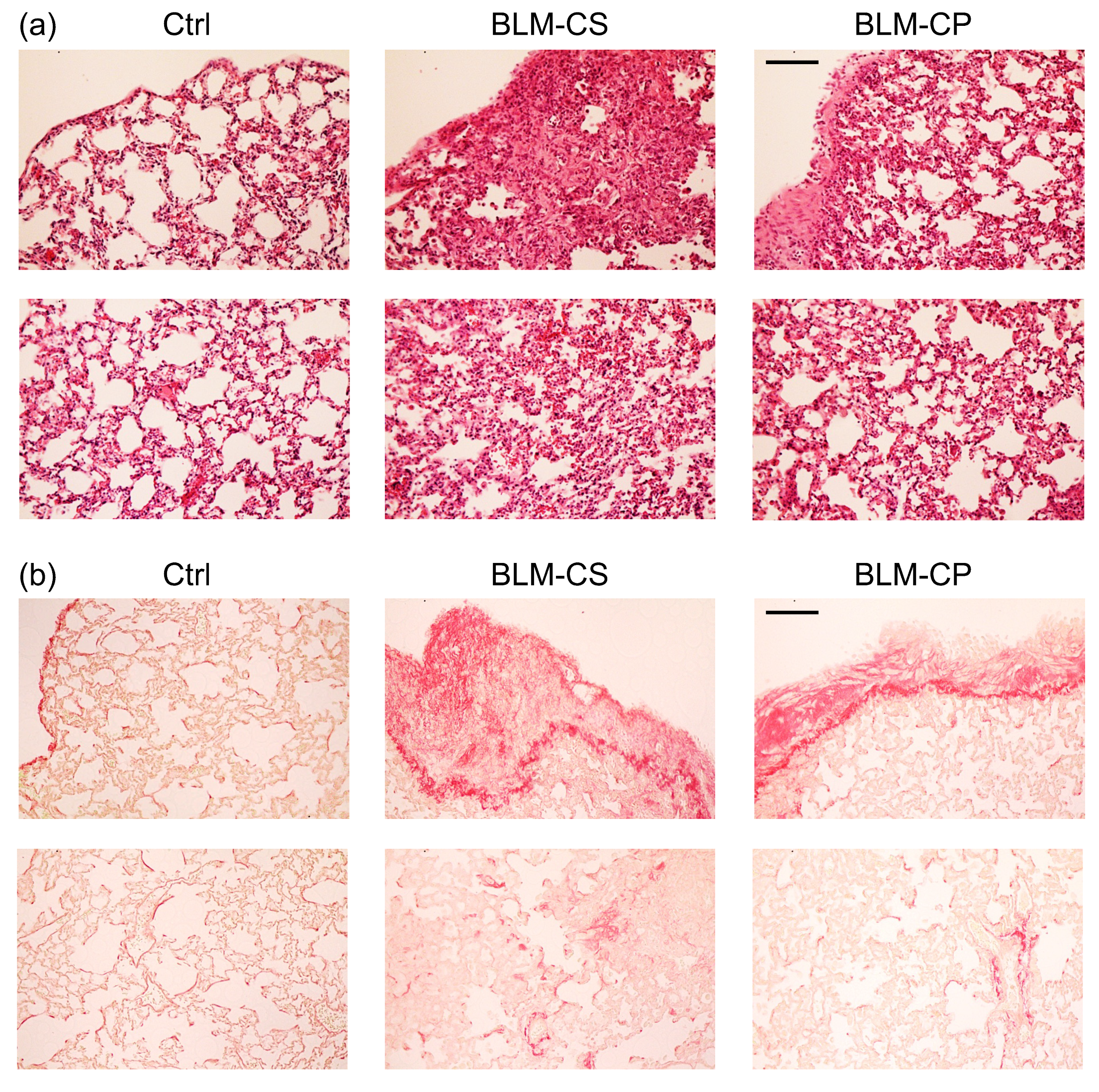Biologics 03 00010 g005 Biologics 03 00010 g005