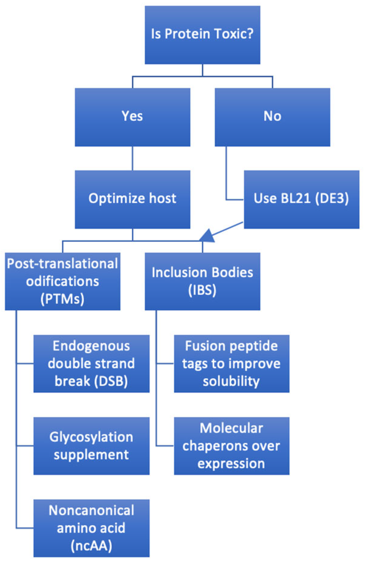 Biologics Free FullText Advances in Escherichia coliBased Therapeutic Protein Expression