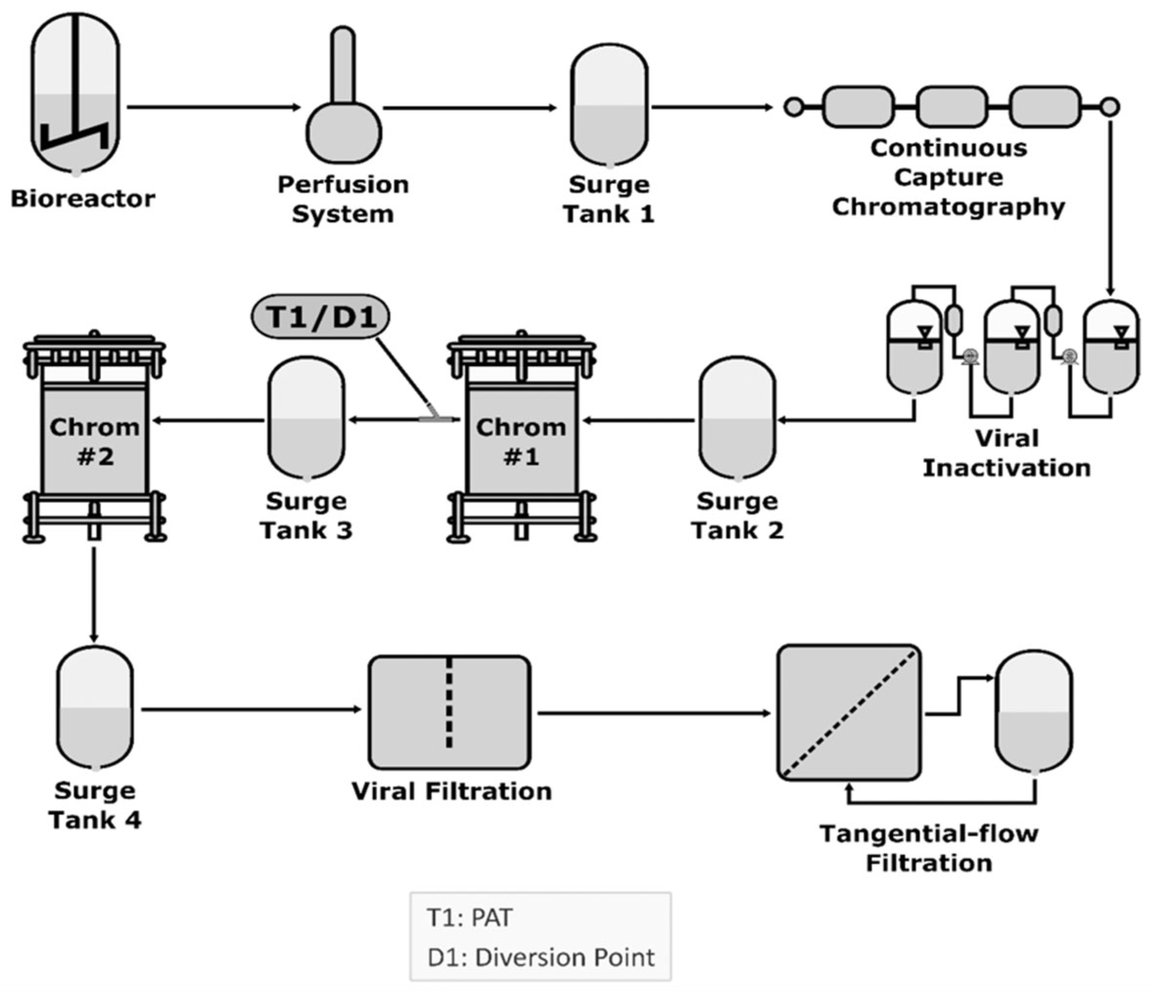 Advances in Escherichia coli-Based Therapeutic Protein