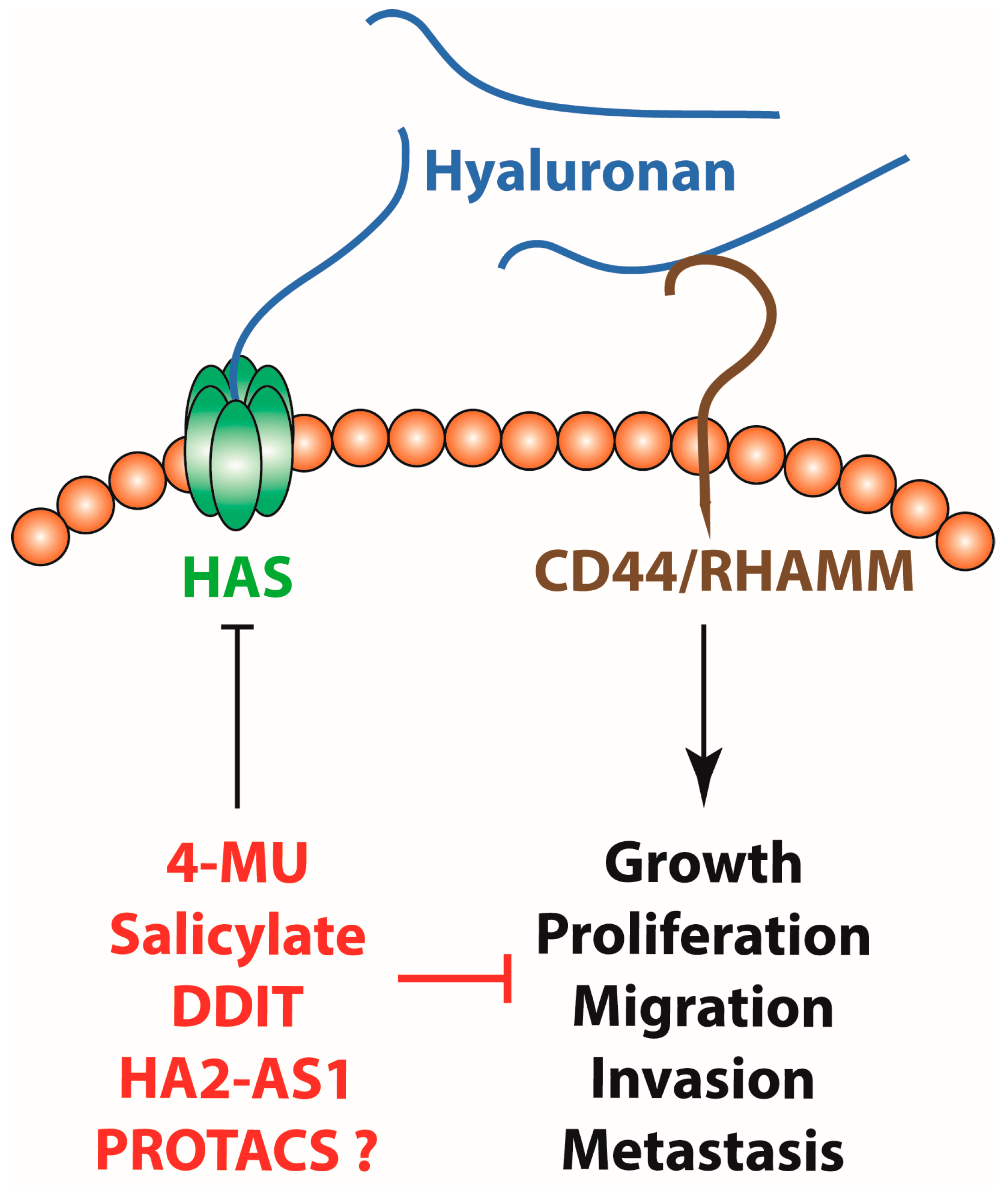 Biologics 03 00022 g001