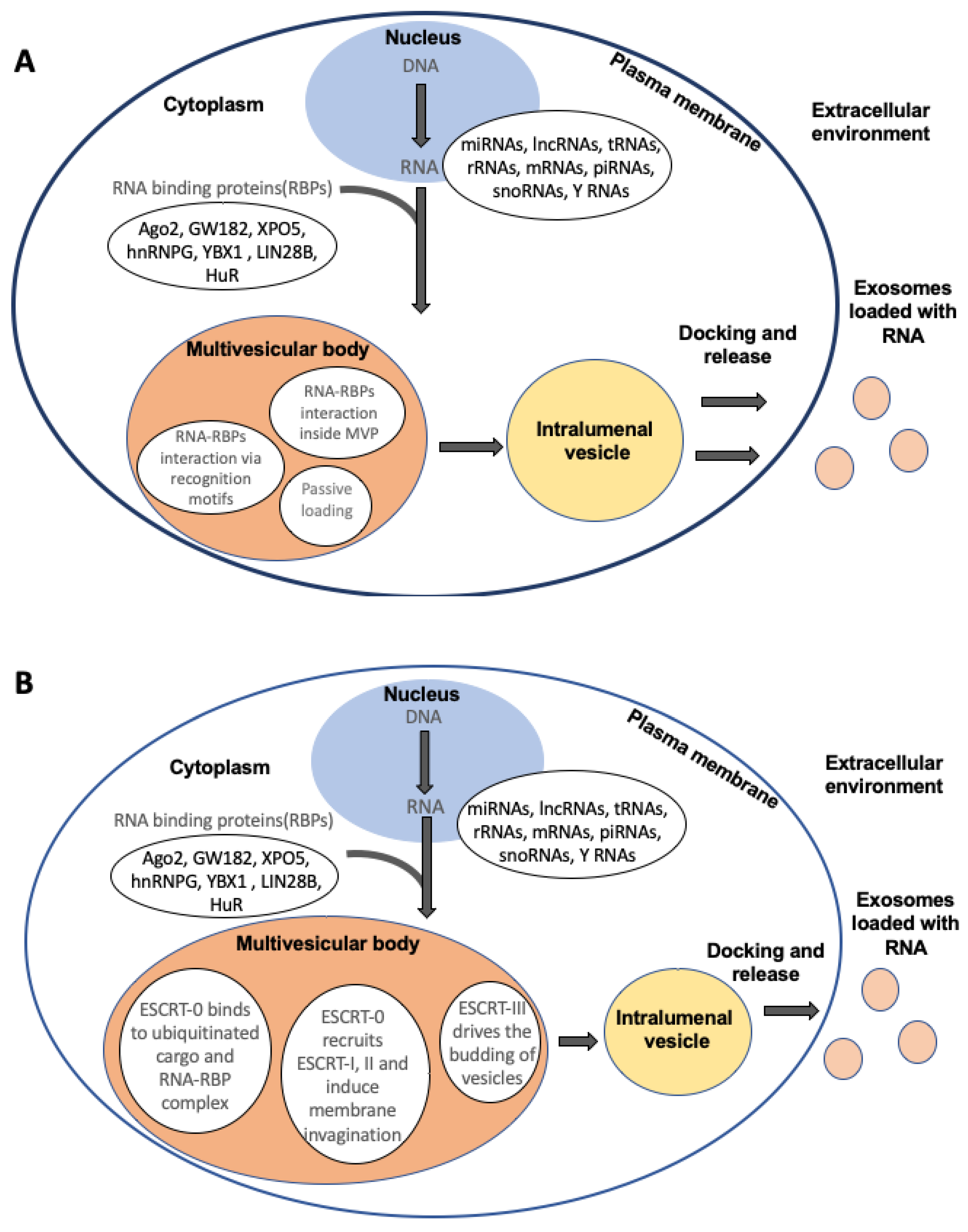 Biologics 04 00007 g001