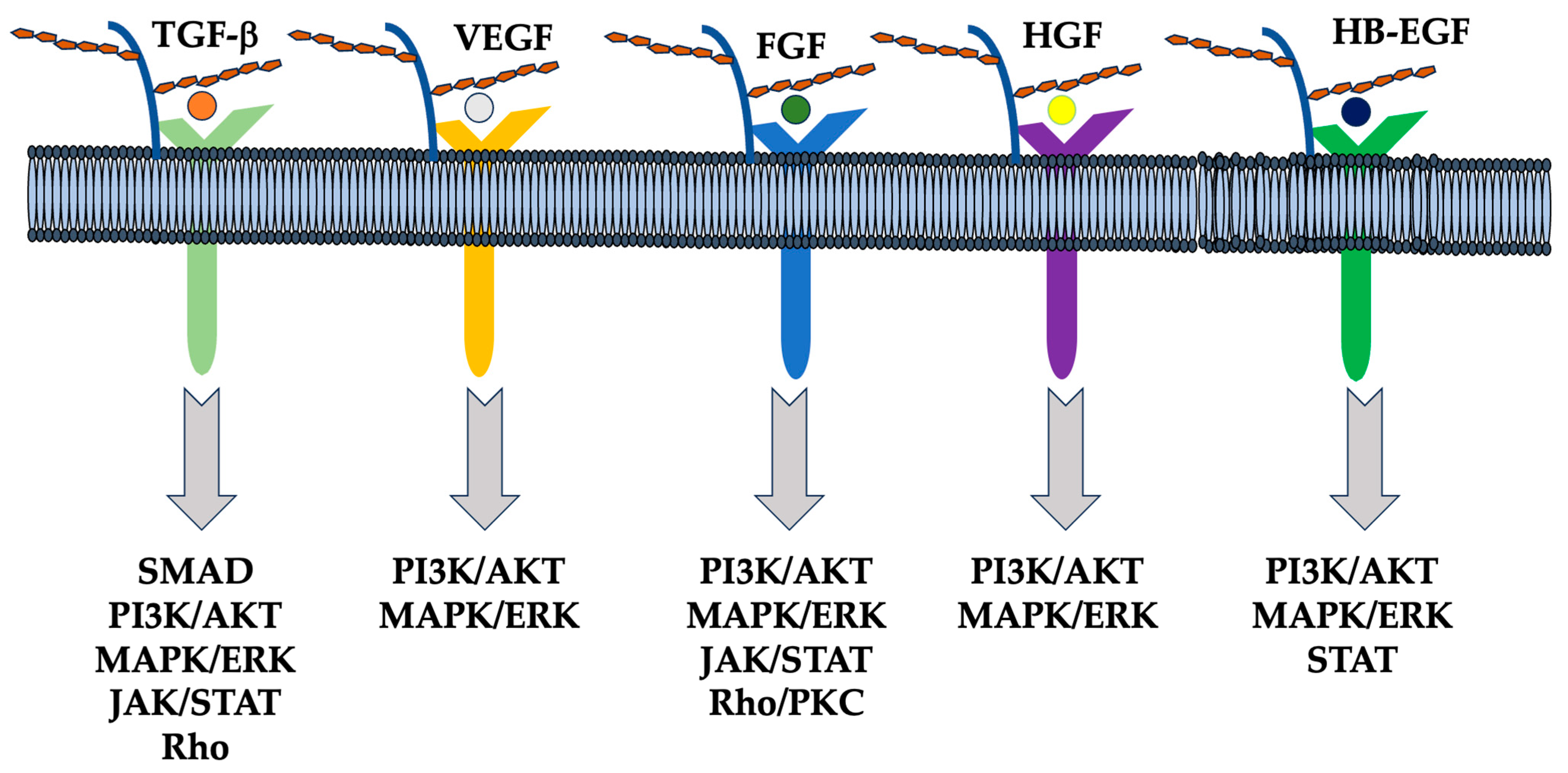 Biologics 04 00008 g002