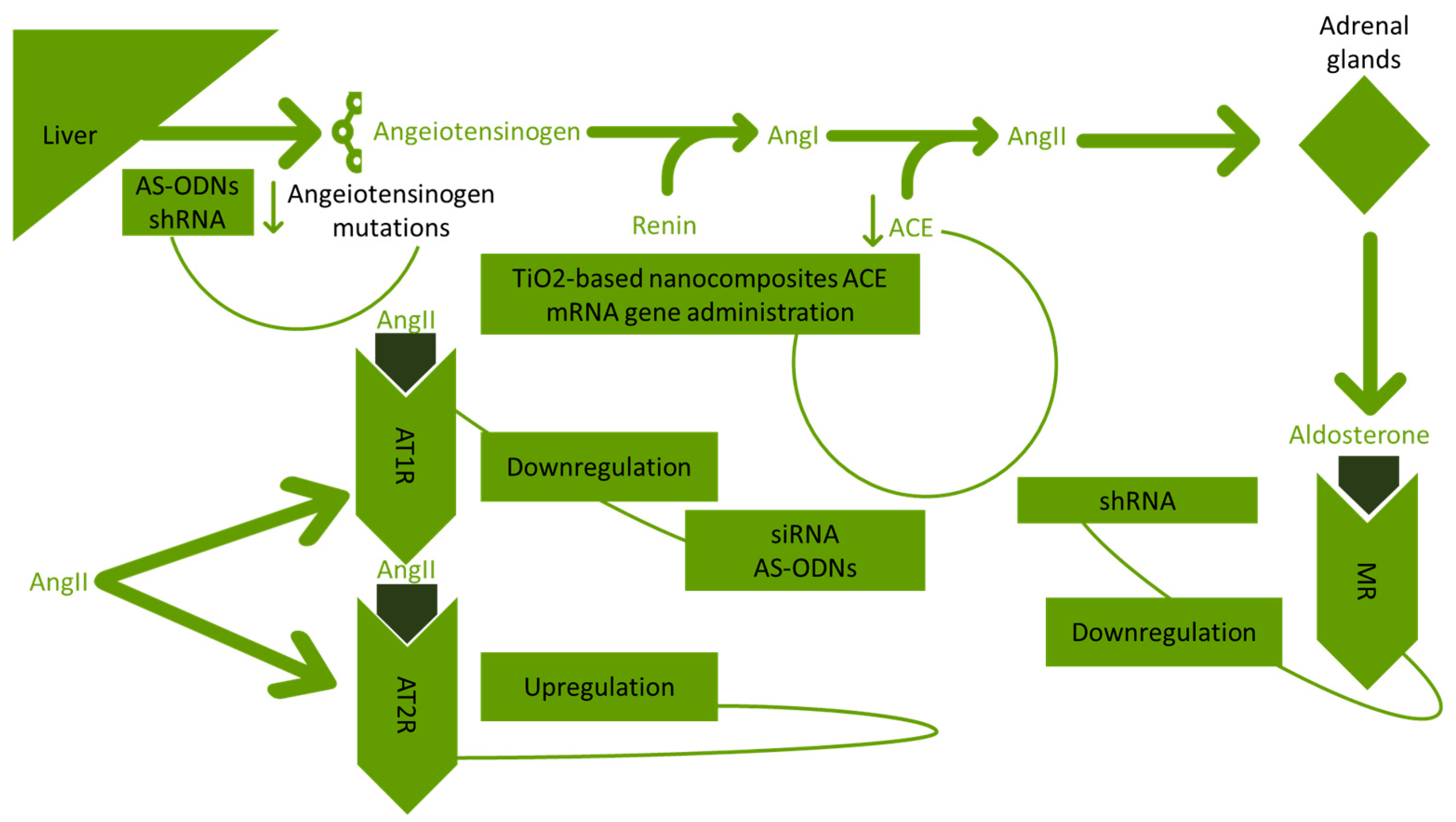 Biologics 04 00010 g002 Biologics 04 00010 g002