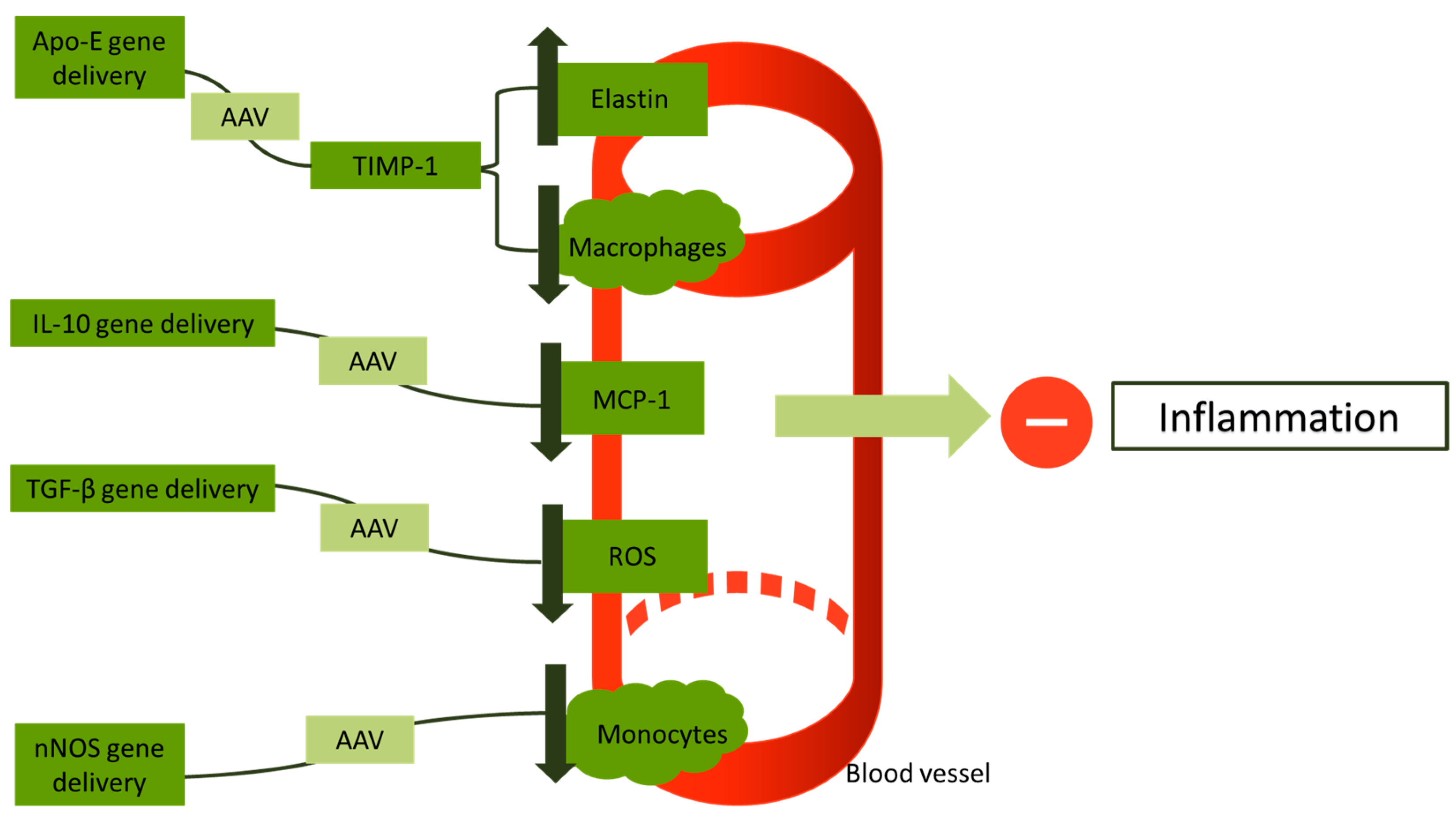 Biologics 04 00010 g003 Biologics 04 00010 g003