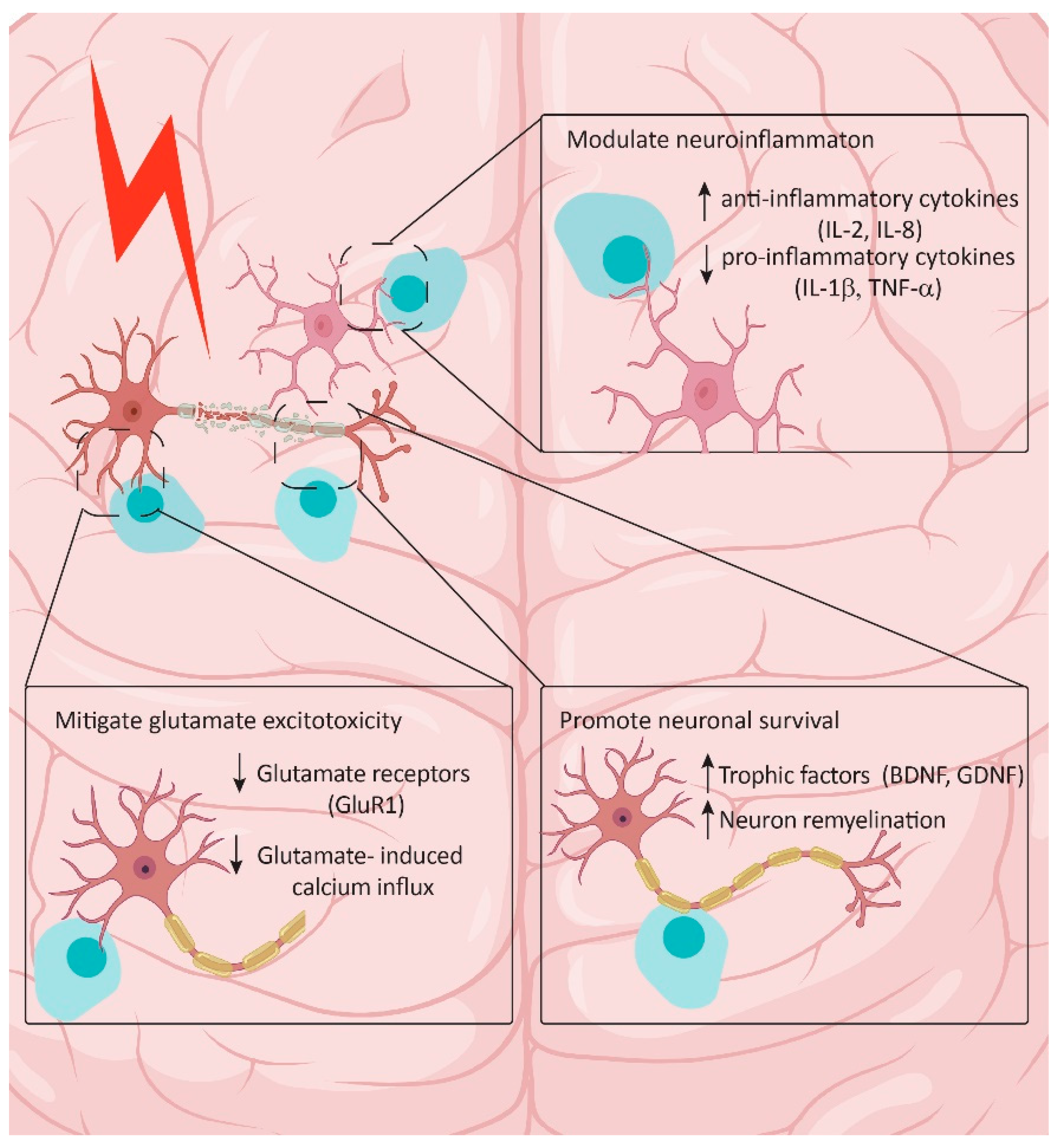 Biologics 04 00011 g001