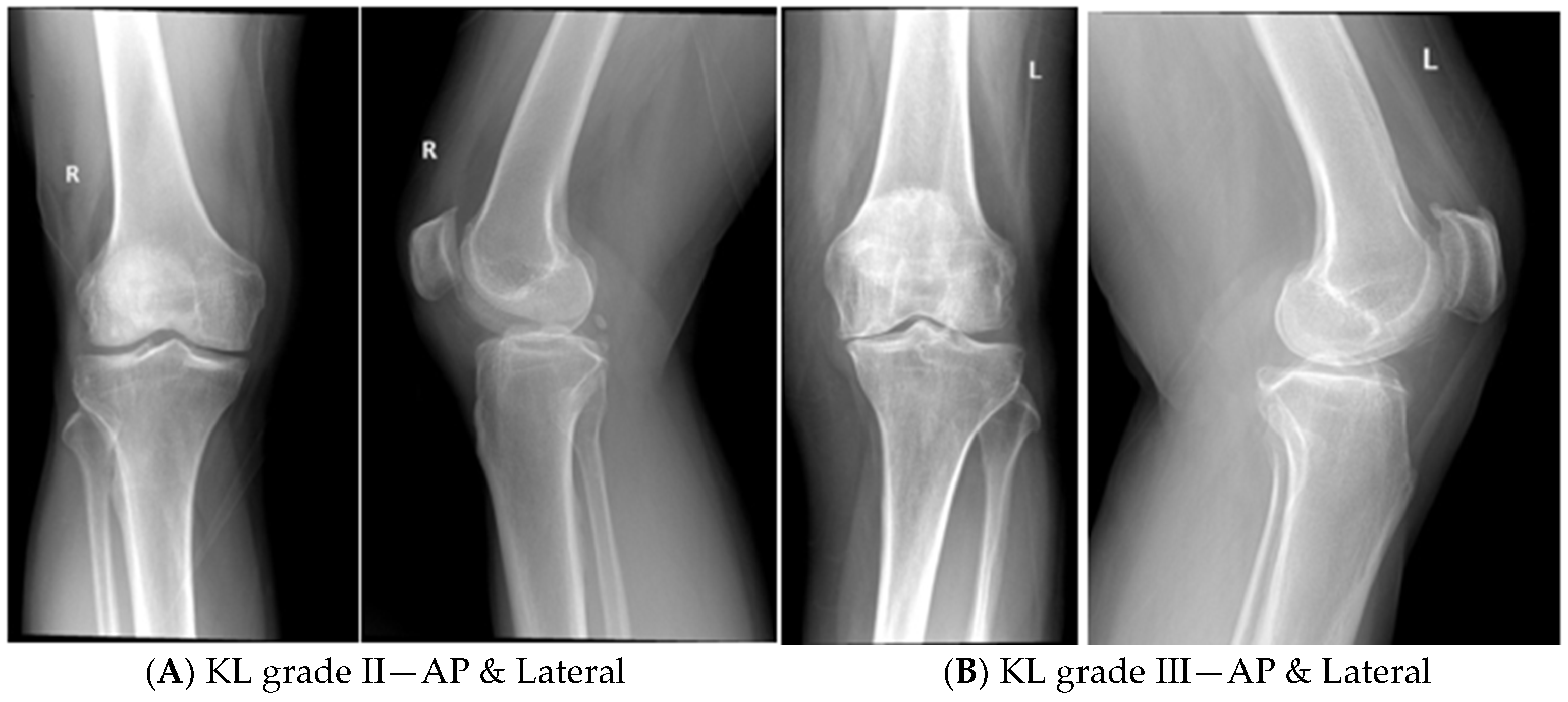 Biologics 04 00015 g001