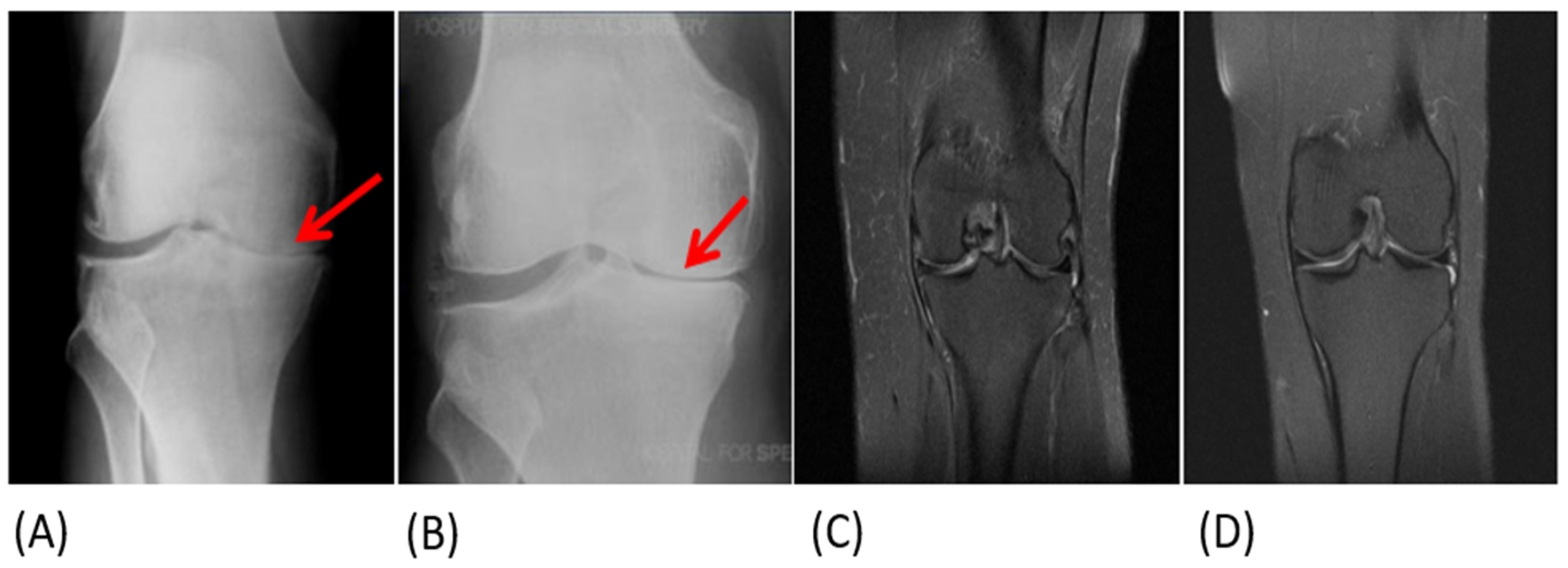 Biologics 04 00015 g005