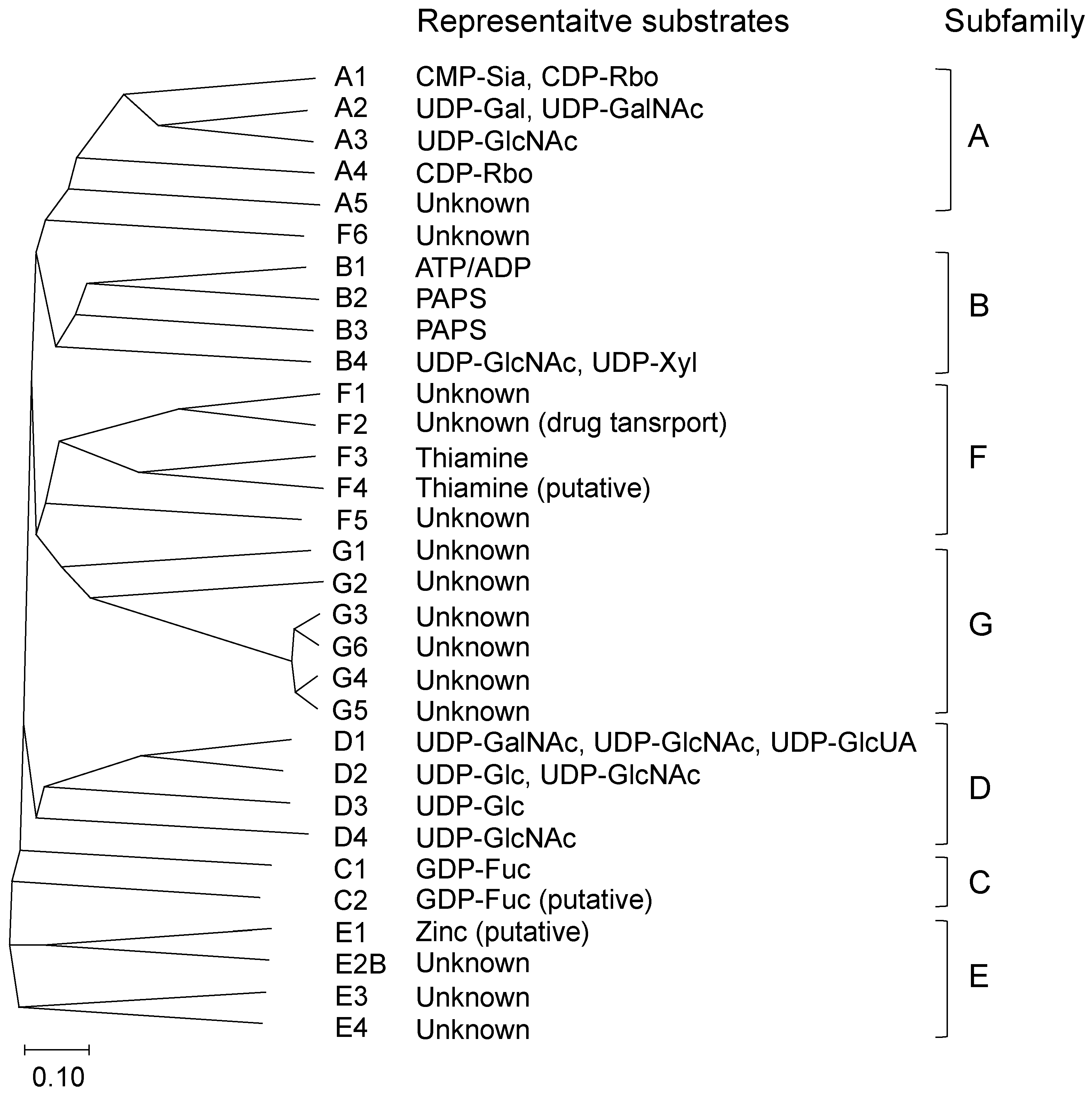 Biologics 04 00017 g001 Biologics 04 00017 g001