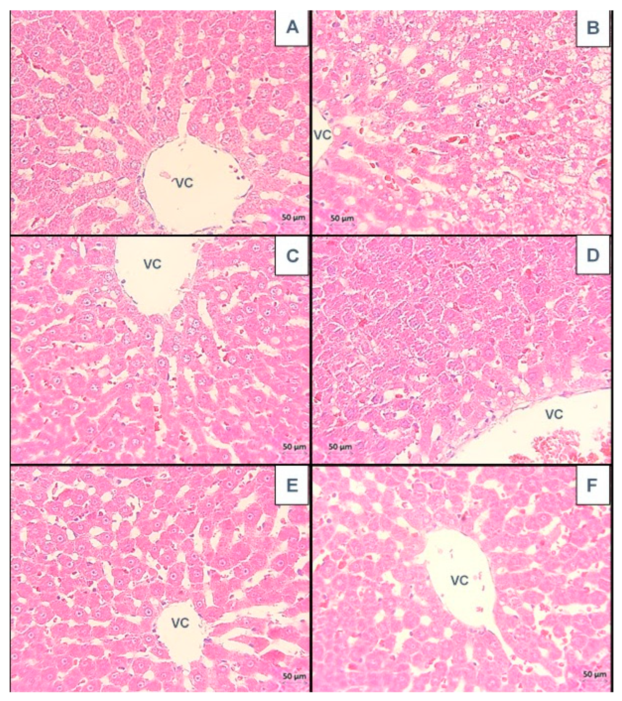 Biologics 04 00021 g001 Biologics 04 00021 g001