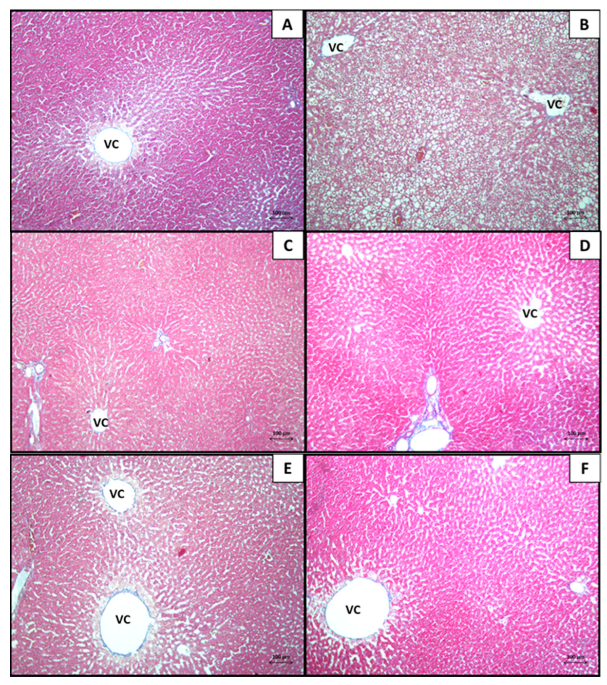 Biologics 04 00021 g002 Biologics 04 00021 g002