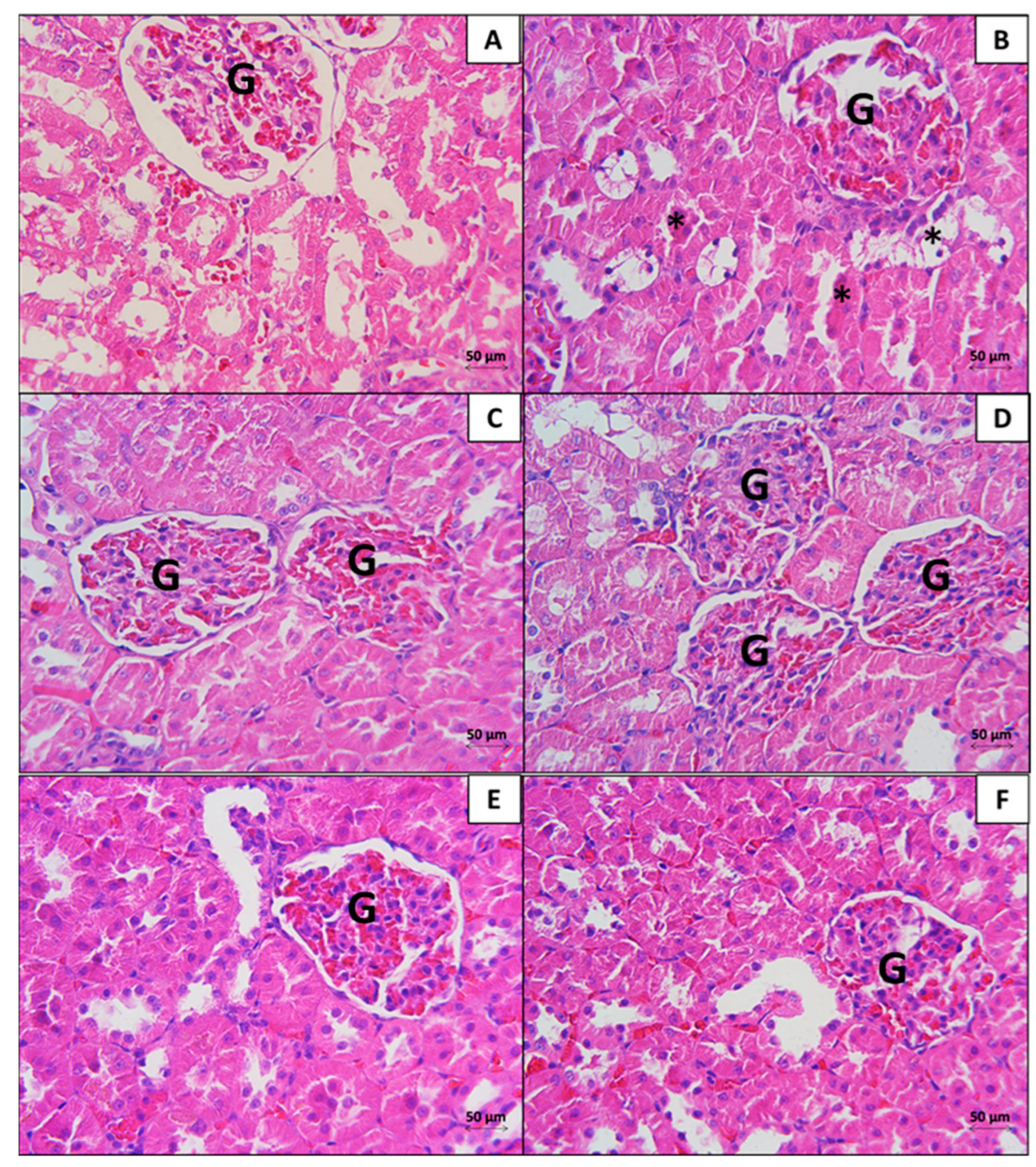 Biologics 04 00021 g005 Biologics 04 00021 g005