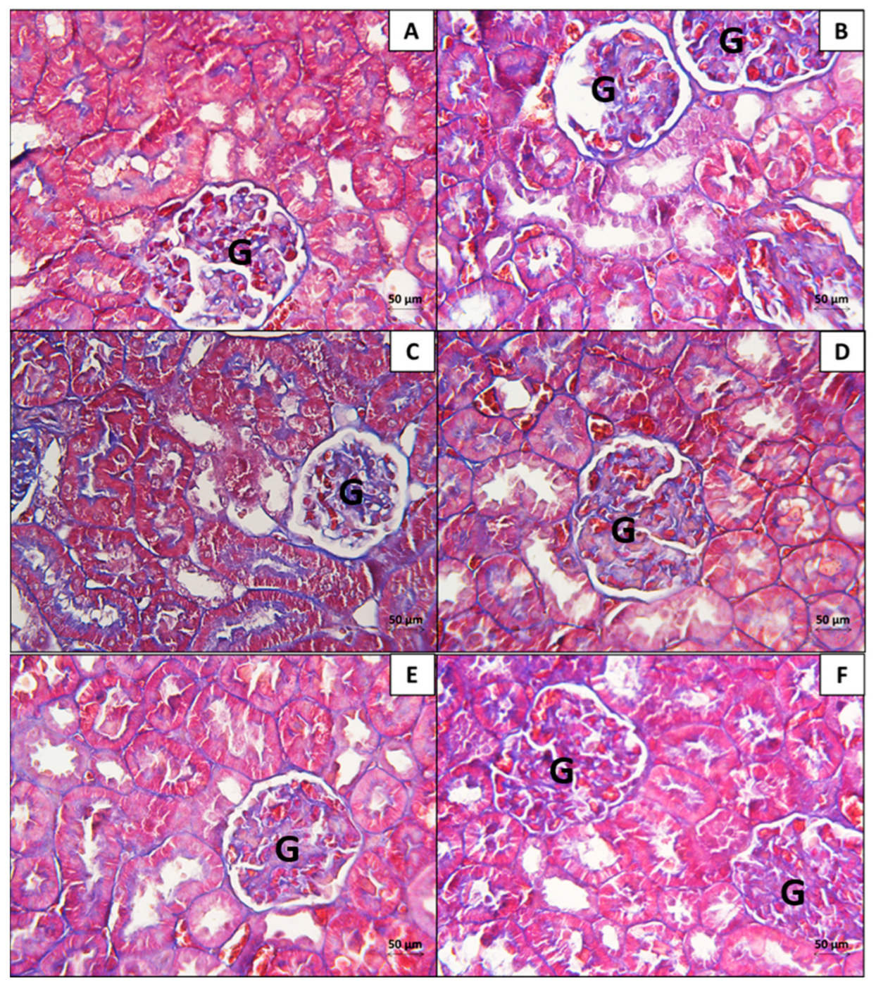 Biologics 04 00021 g006 Biologics 04 00021 g006