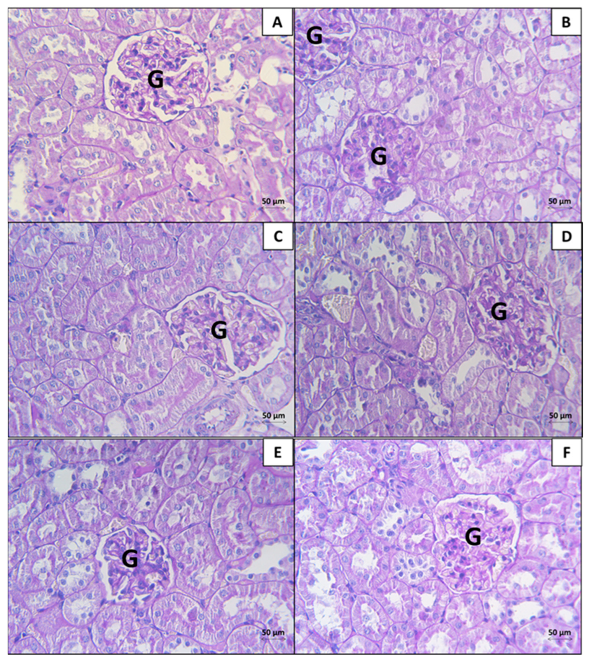 Biologics 04 00021 g007 Biologics 04 00021 g007