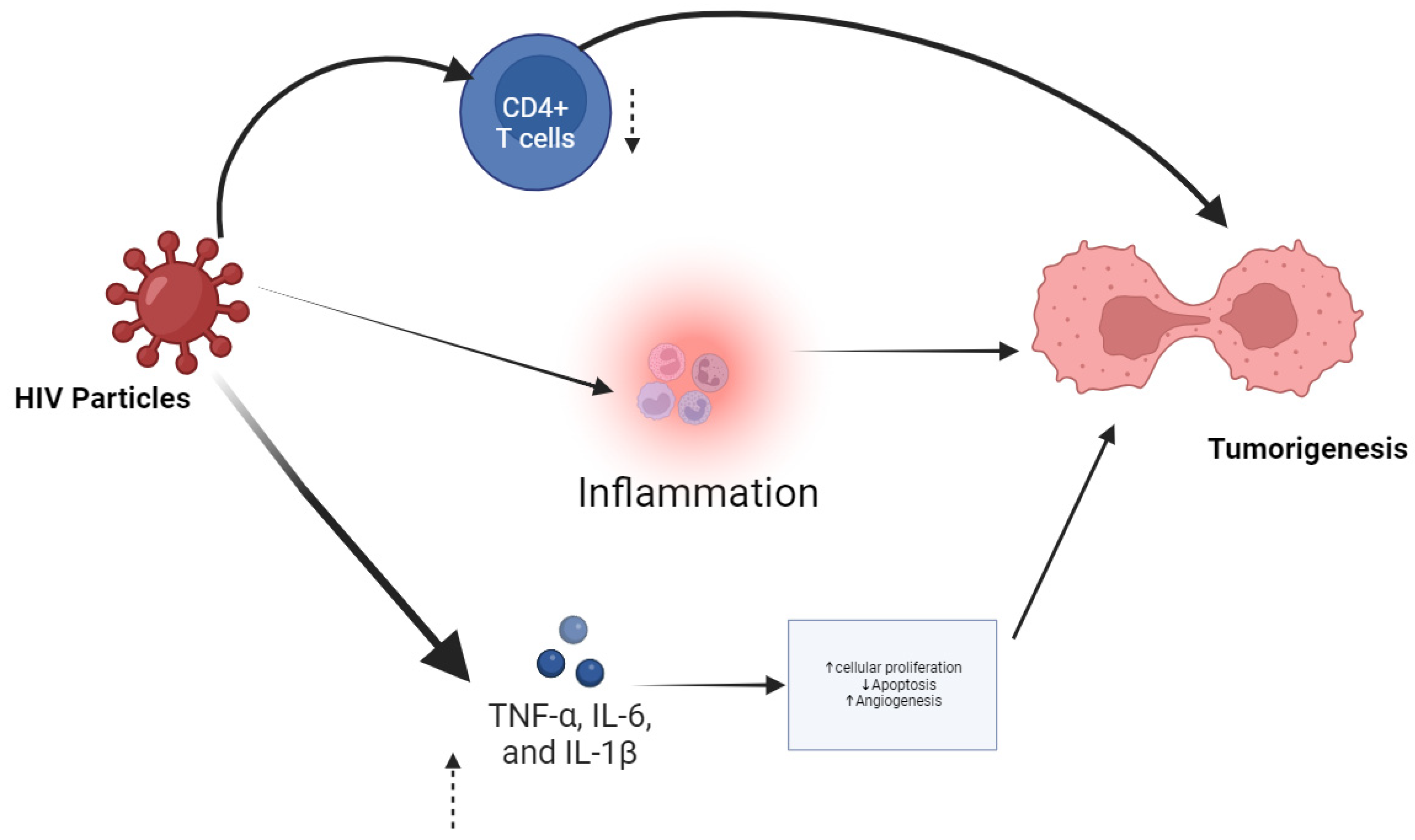 Biologics 04 00024 g001