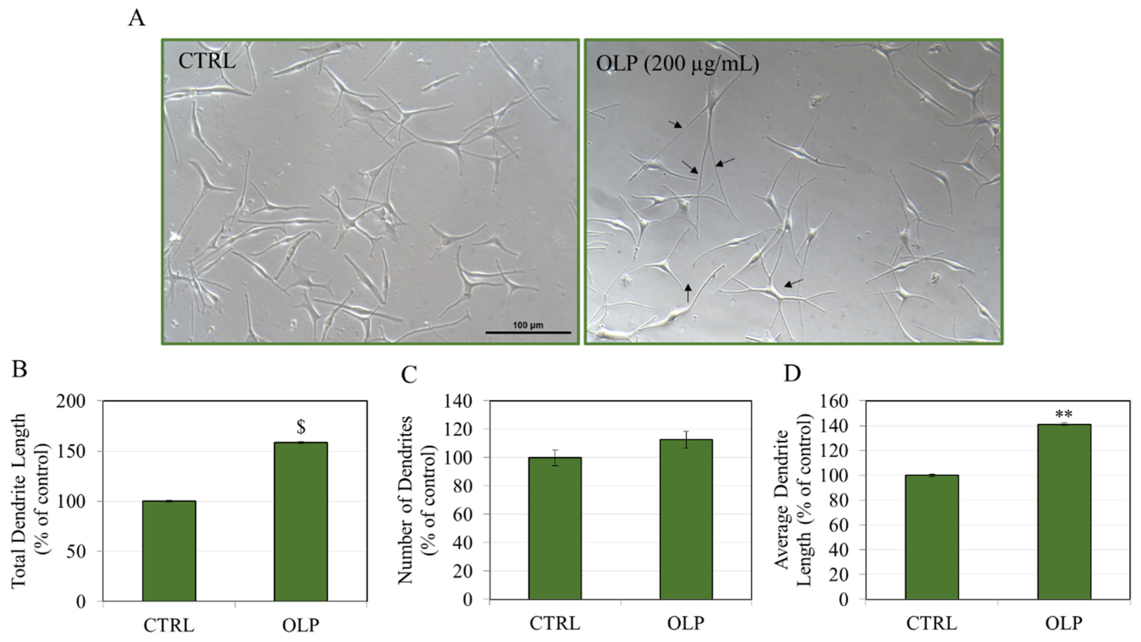 Biologics 05 00008 g007 Biologics 05 00008 g007