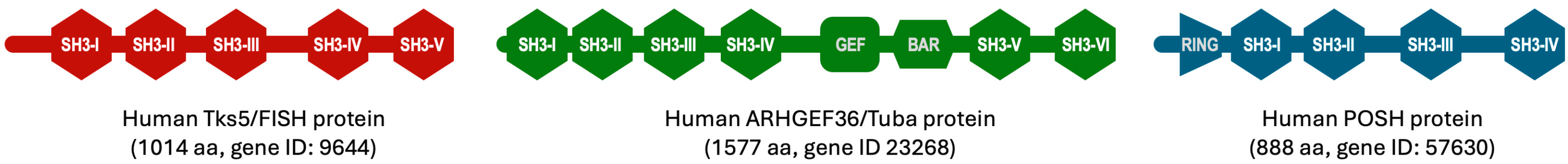 Biologics 05 00013 g001 Biologics 05 00013 g001