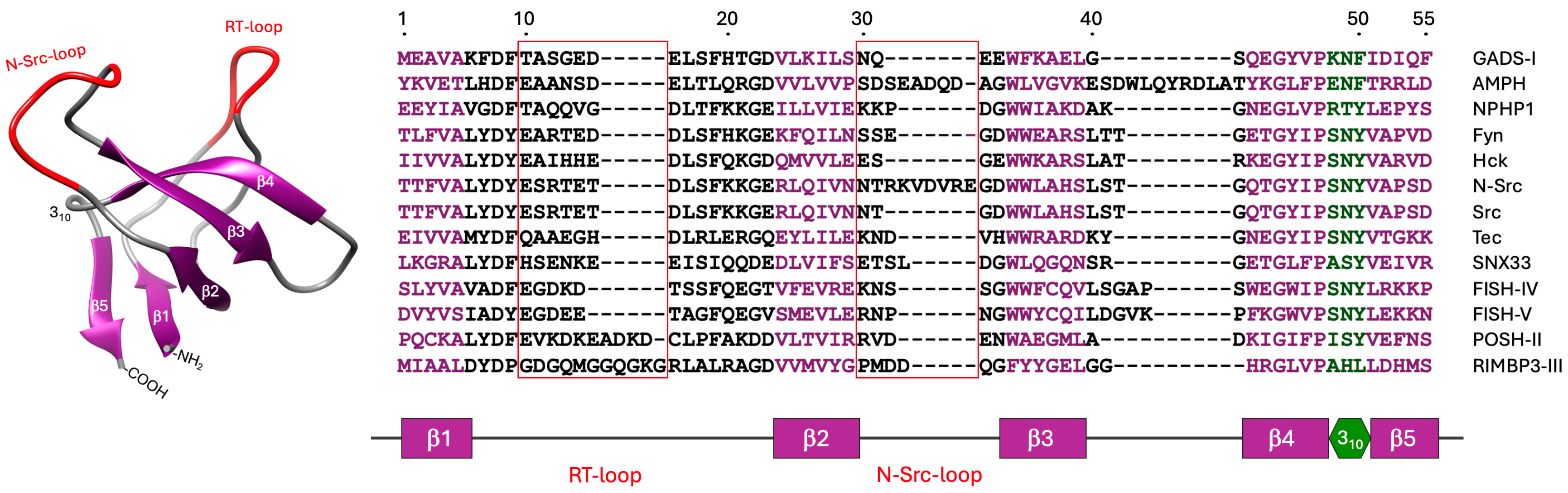 Biologics 05 00013 g002 Biologics 05 00013 g002
