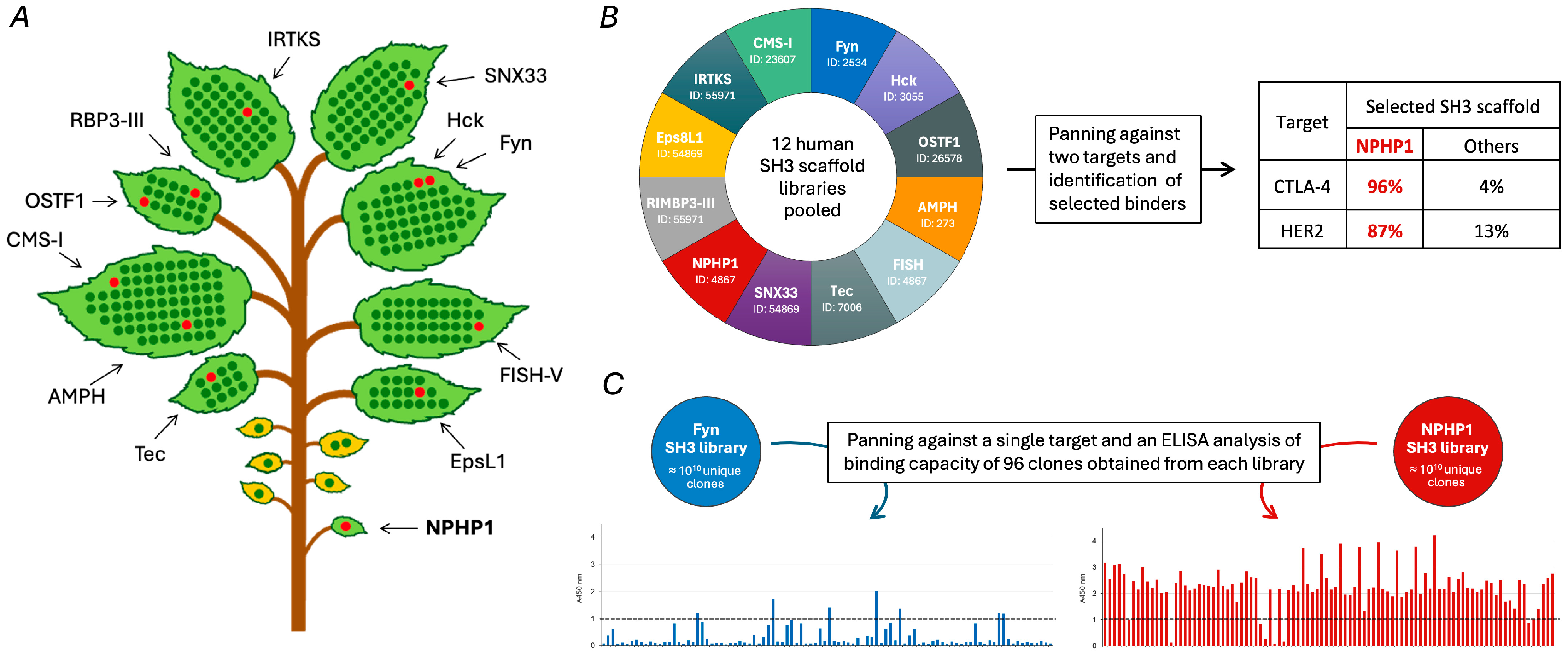 Biologics 05 00013 g003 Biologics 05 00013 g003