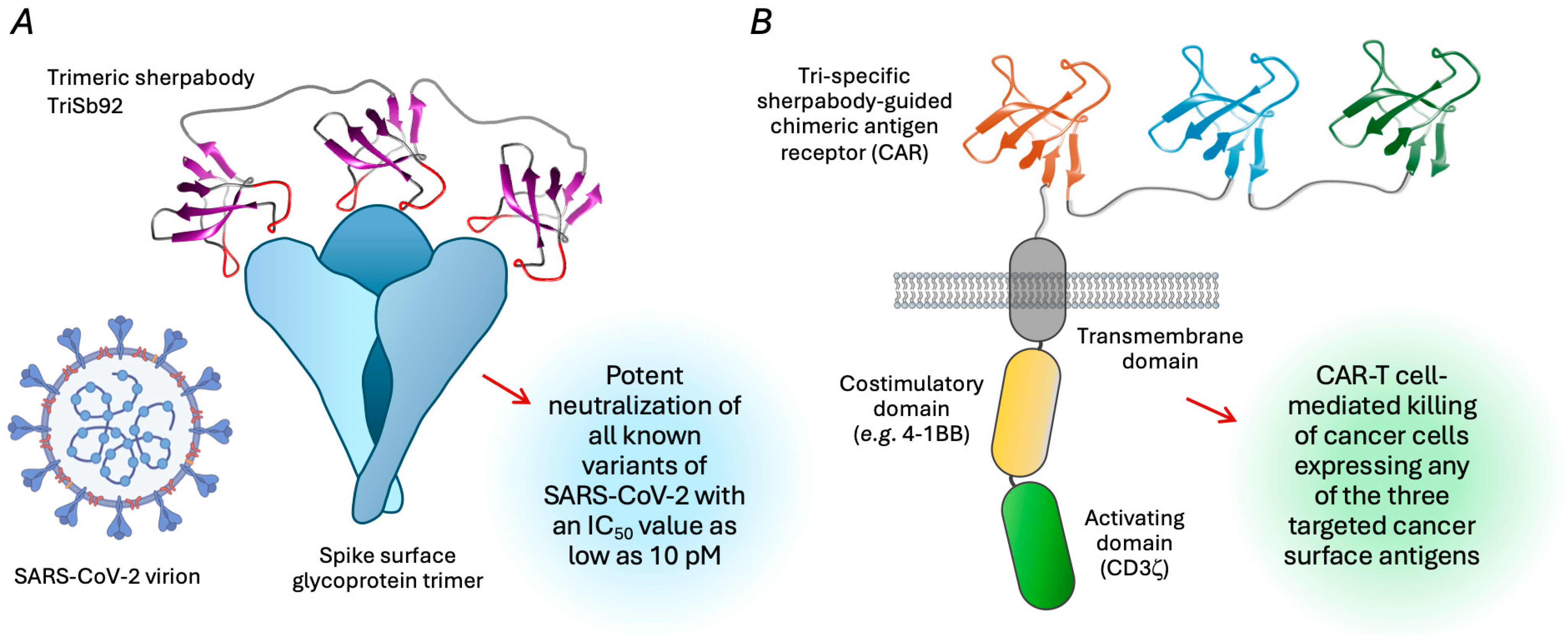Biologics 05 00013 g004 Biologics 05 00013 g004