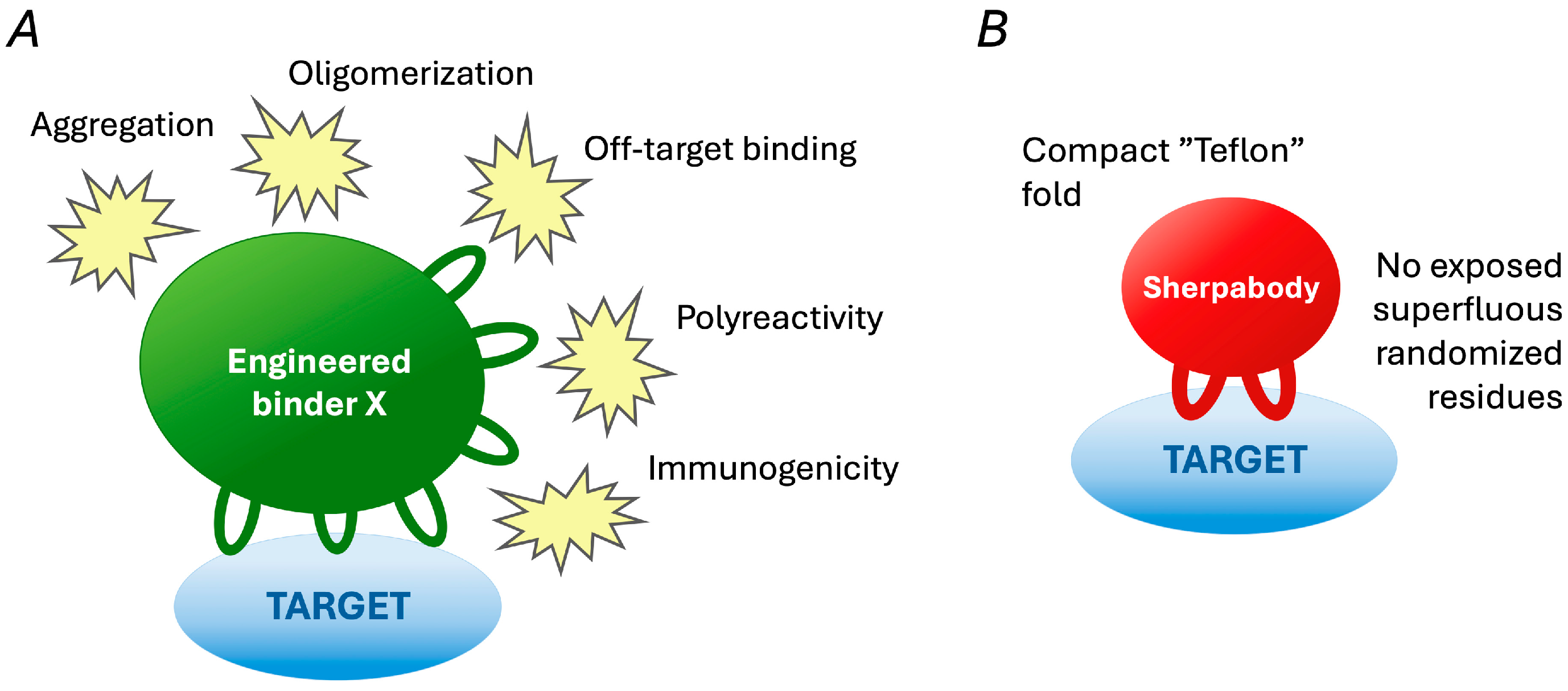 Biologics 05 00013 g005 Biologics 05 00013 g005