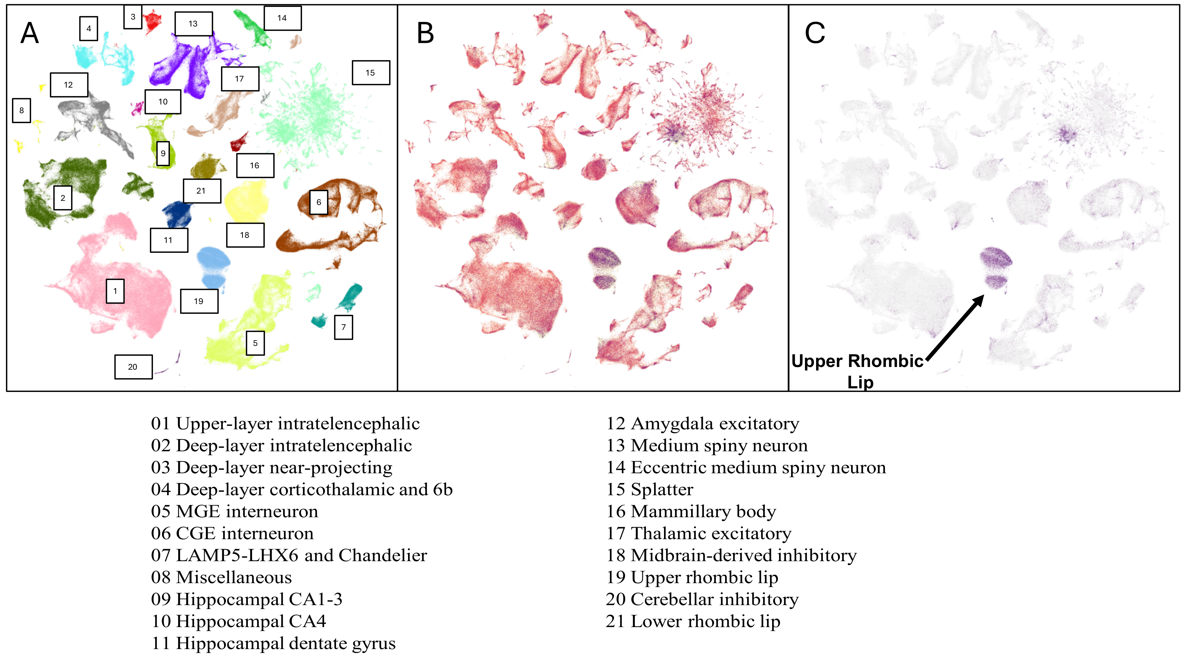Biologics 05 00014 g001