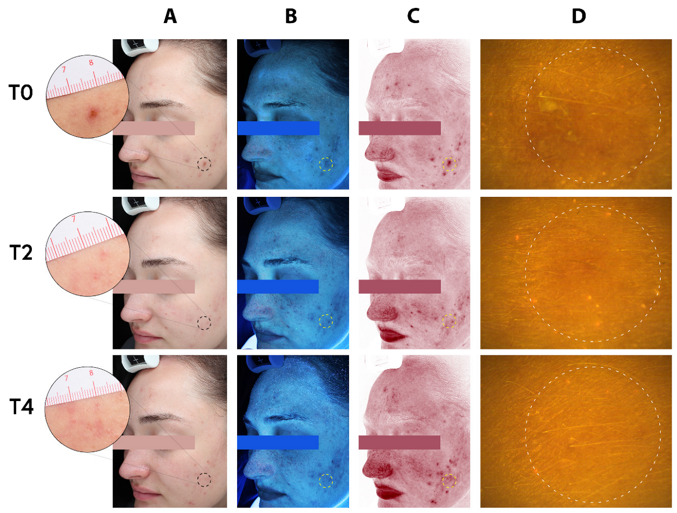 Biologics 05 00015 g006