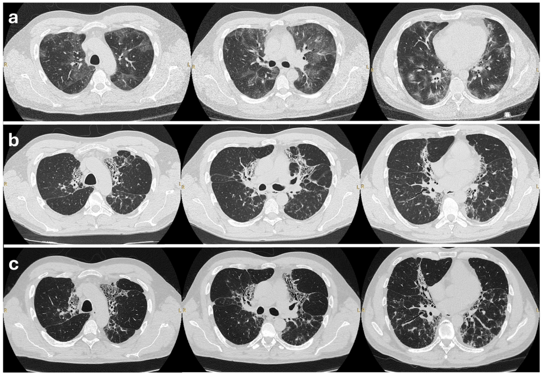 Biologics 05 00023 g001
