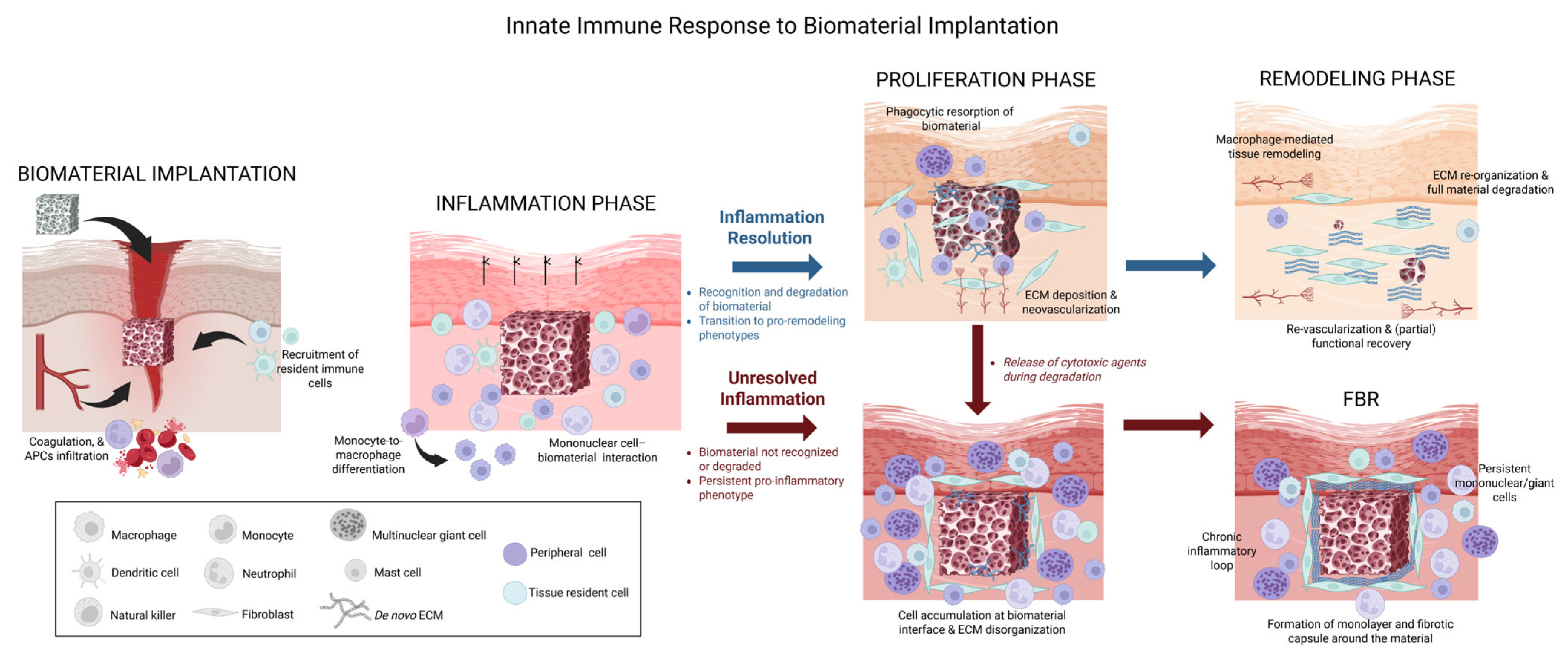 Biologics 05 00028 g001 Biologics 05 00028 g001