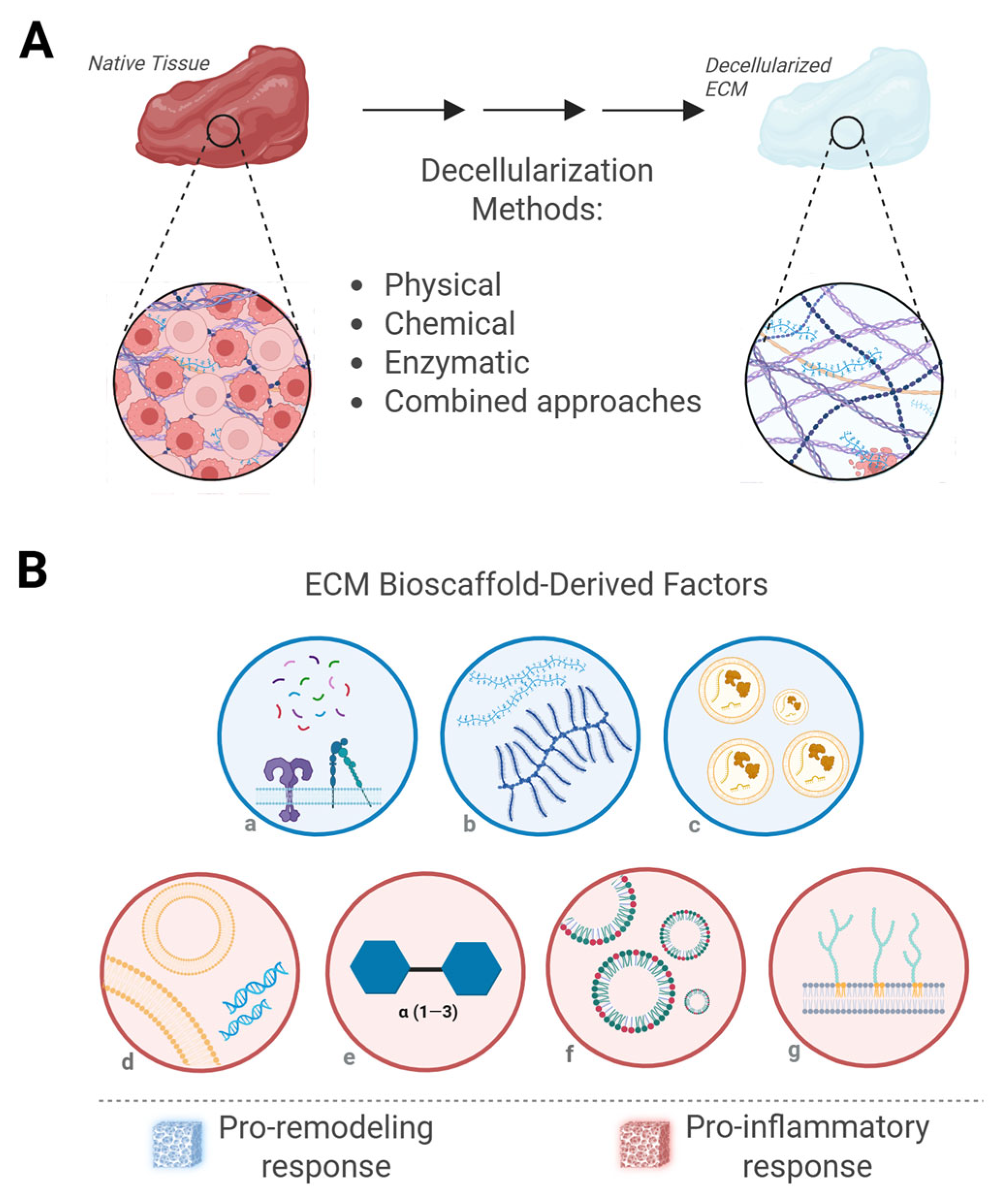 Biologics 05 00028 g002 Biologics 05 00028 g002