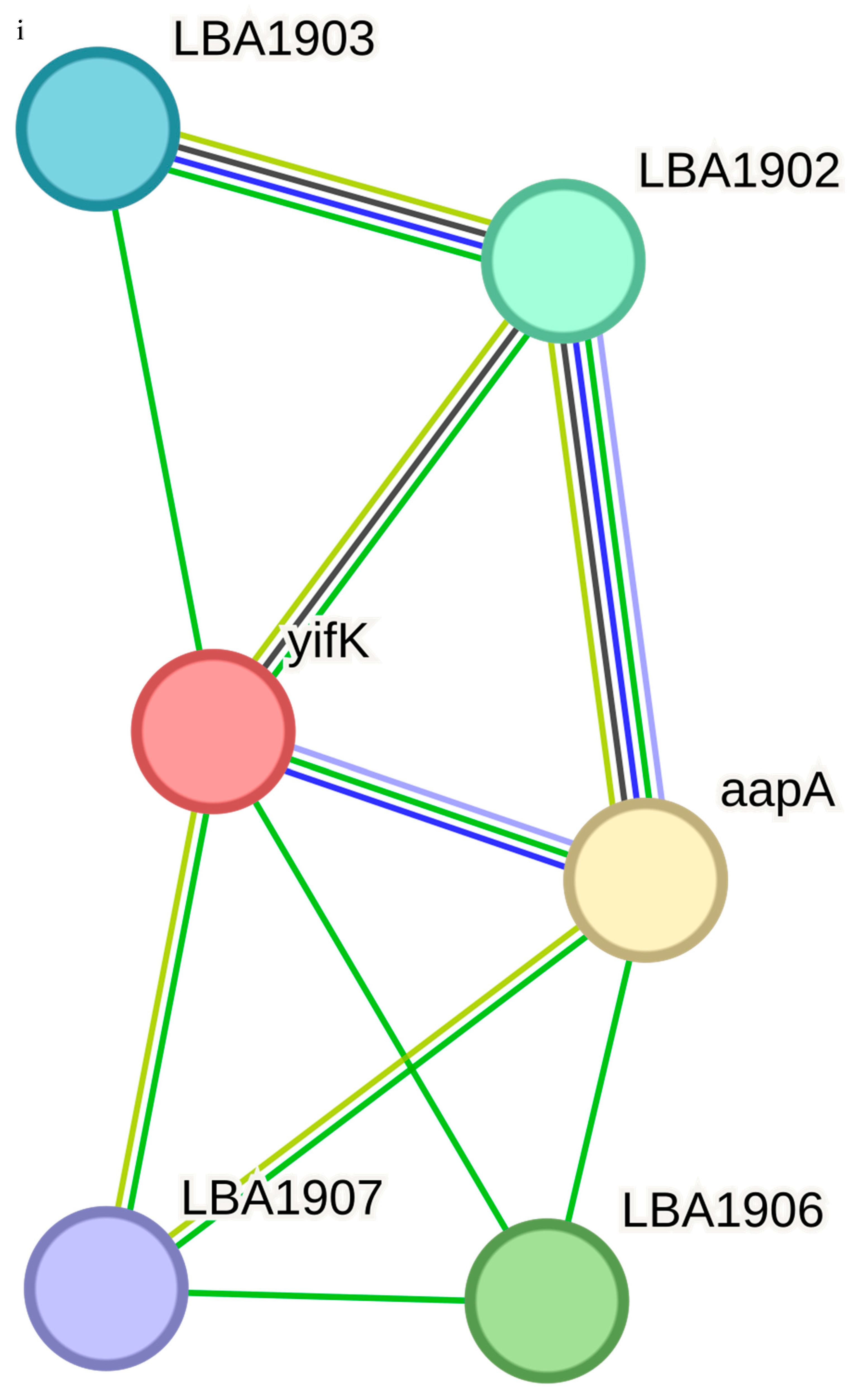 Biologics 05 00029 g005f