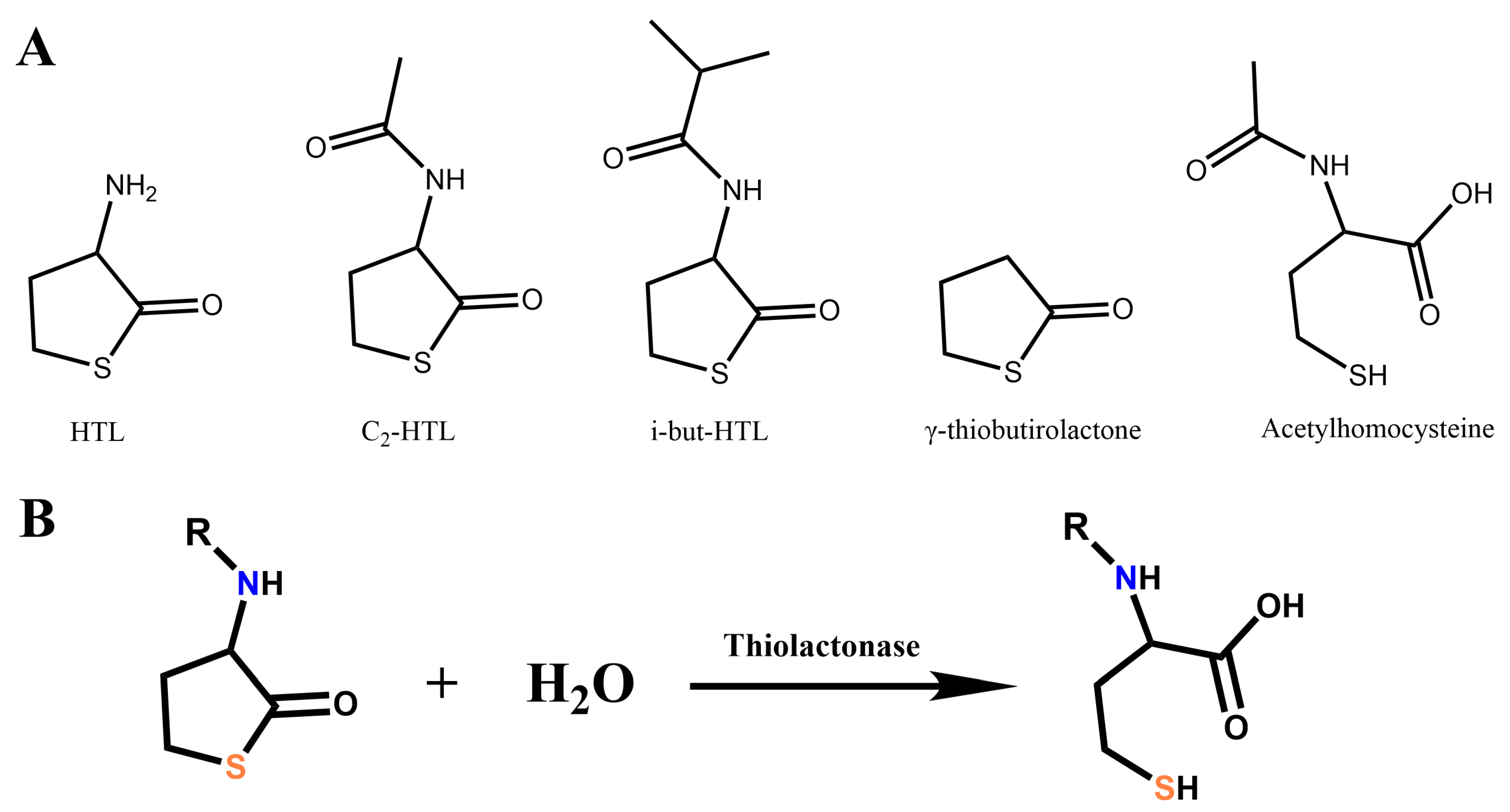 Biologics 05 00034 g001 Biologics 05 00034 g001