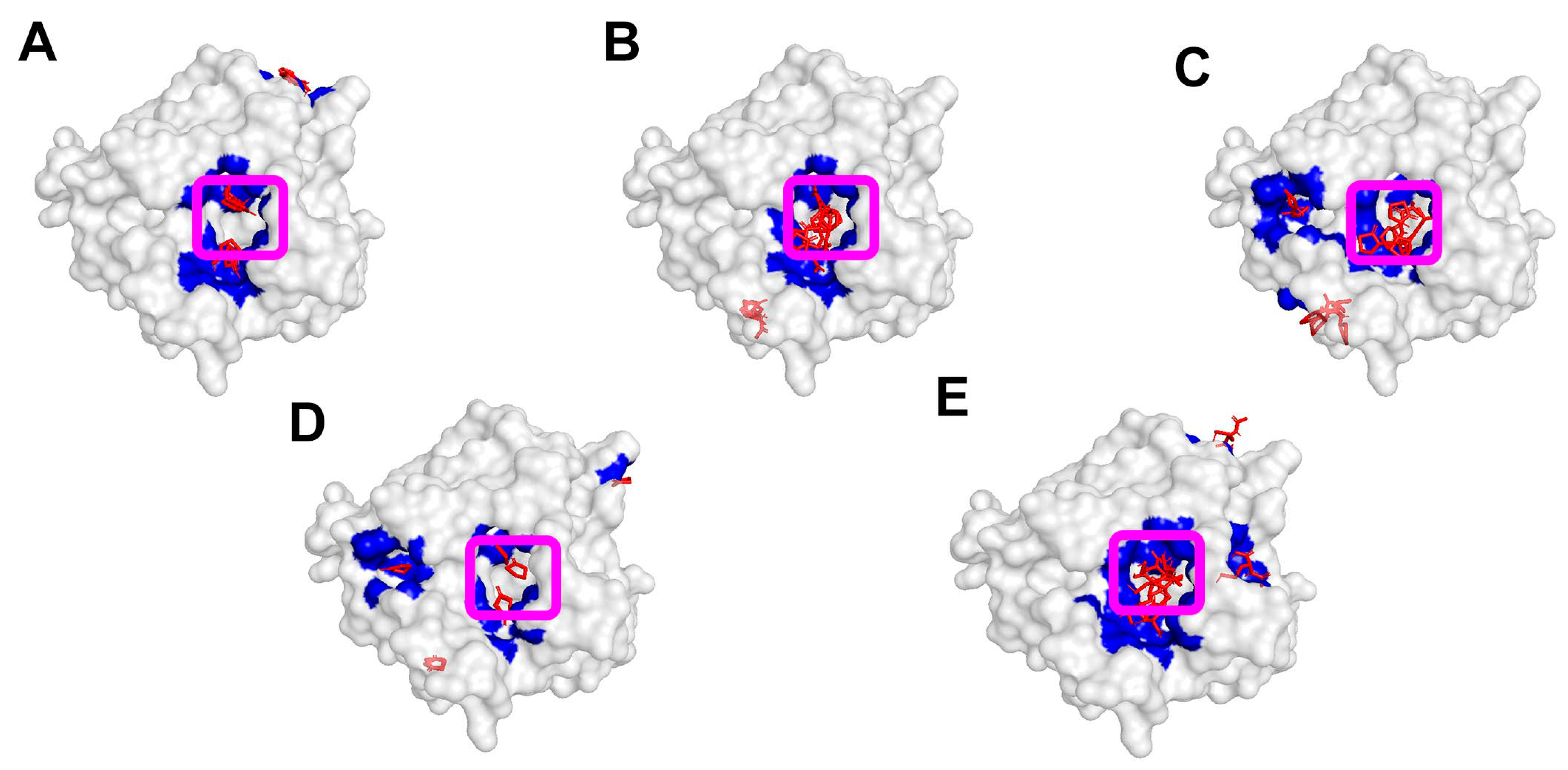 Biologics 05 00034 g002 Biologics 05 00034 g002
