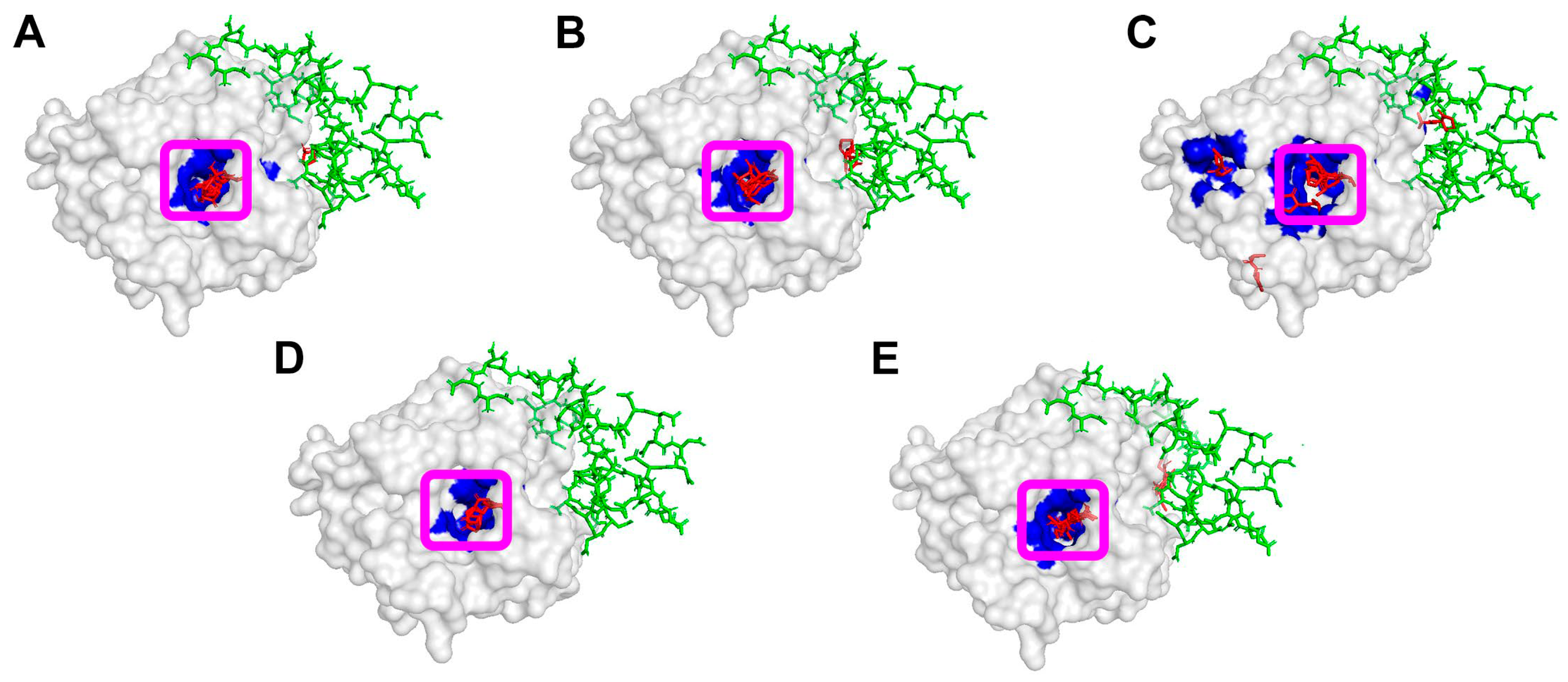 Biologics 05 00034 g005 Biologics 05 00034 g005