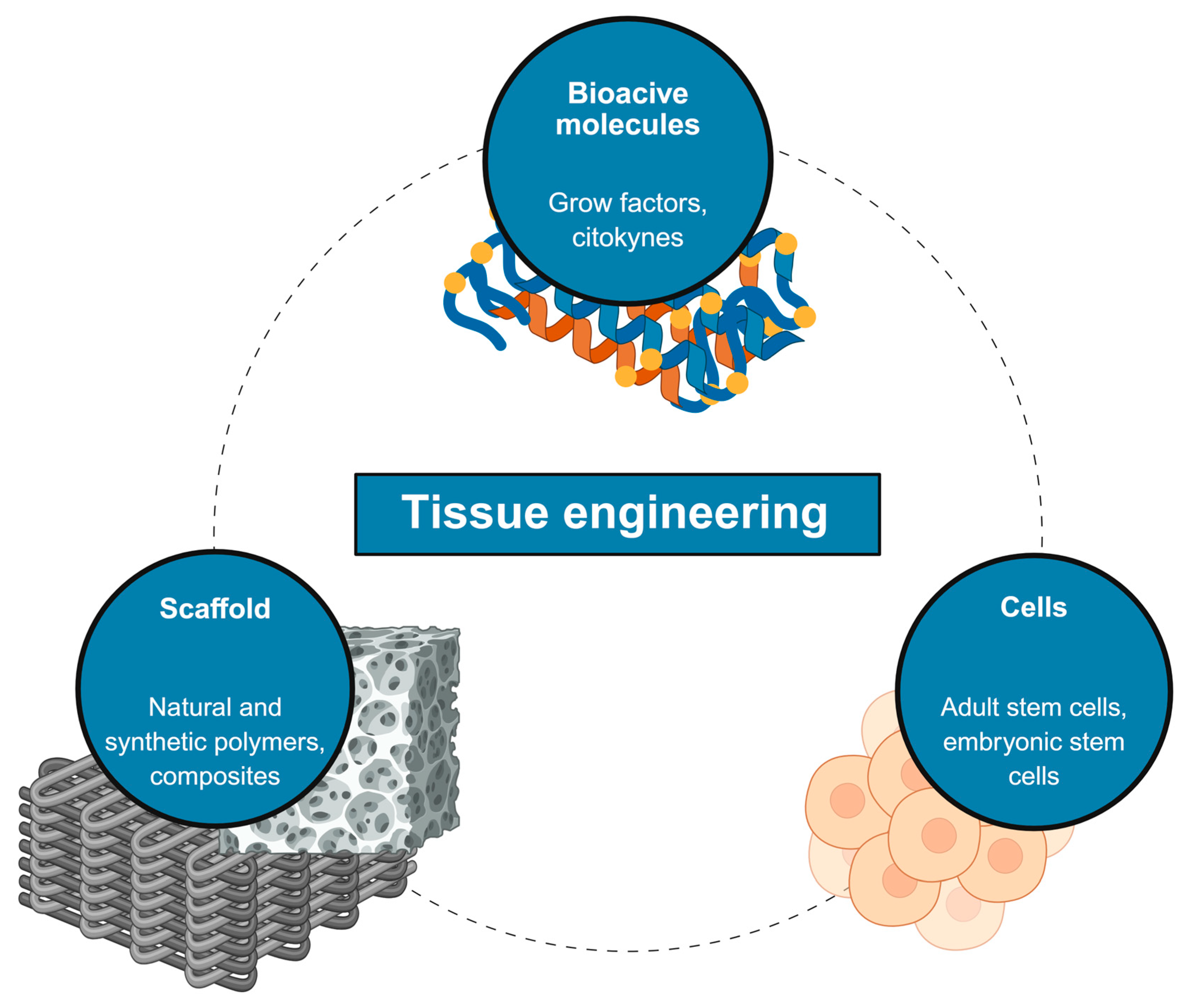 Biologics 06 00002 g001