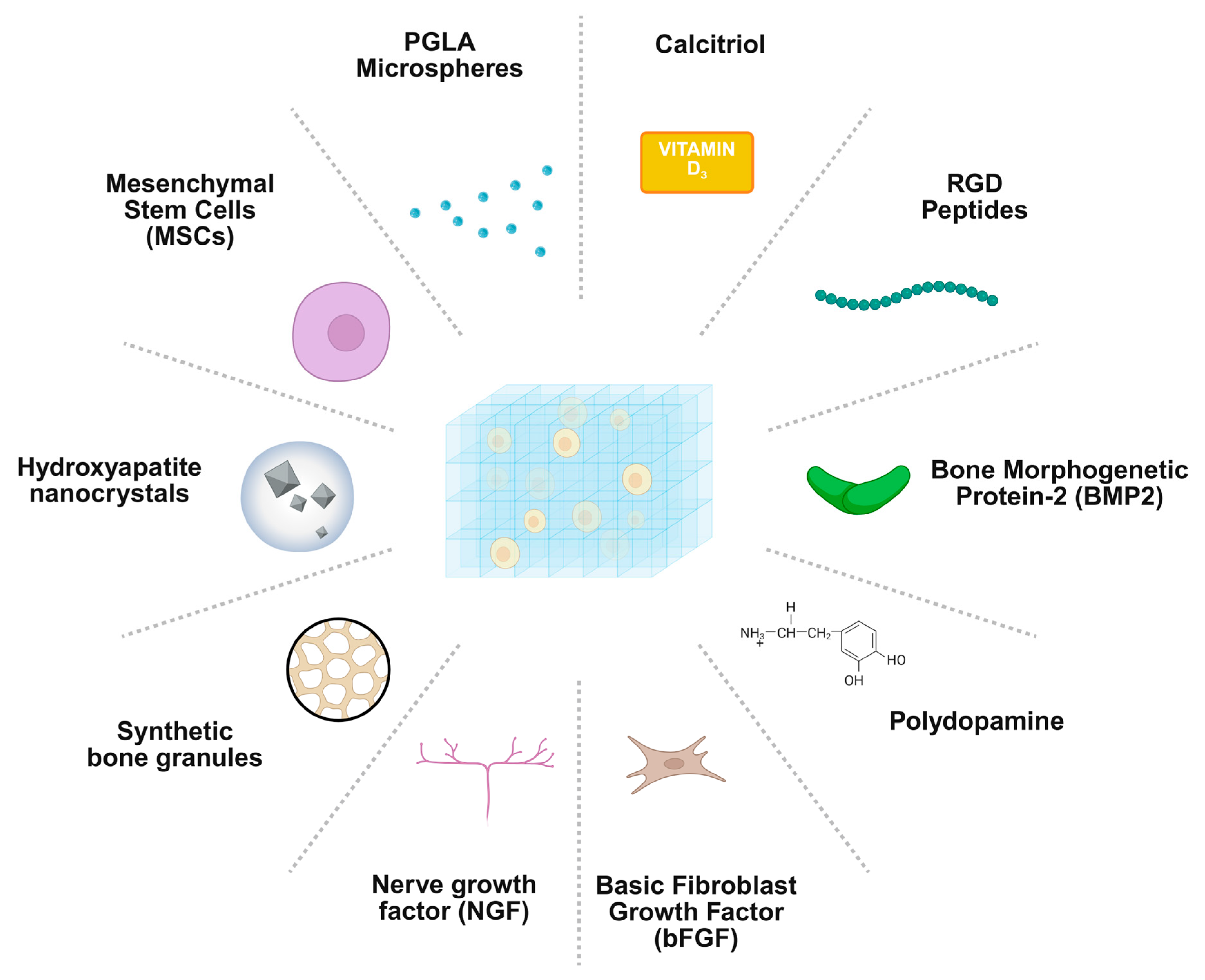 Biologics 06 00002 g003