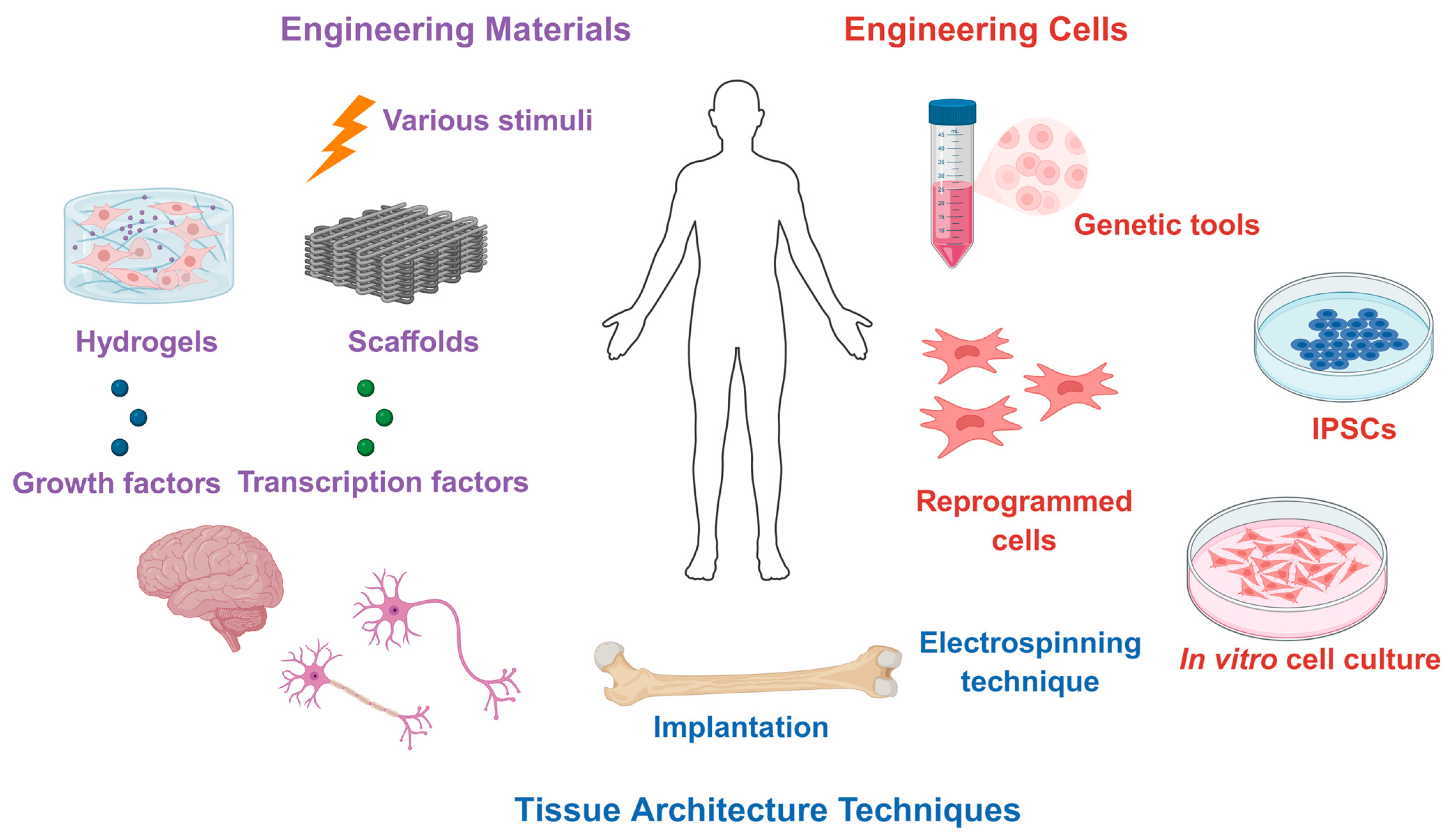 Biologics 06 00002 g004
