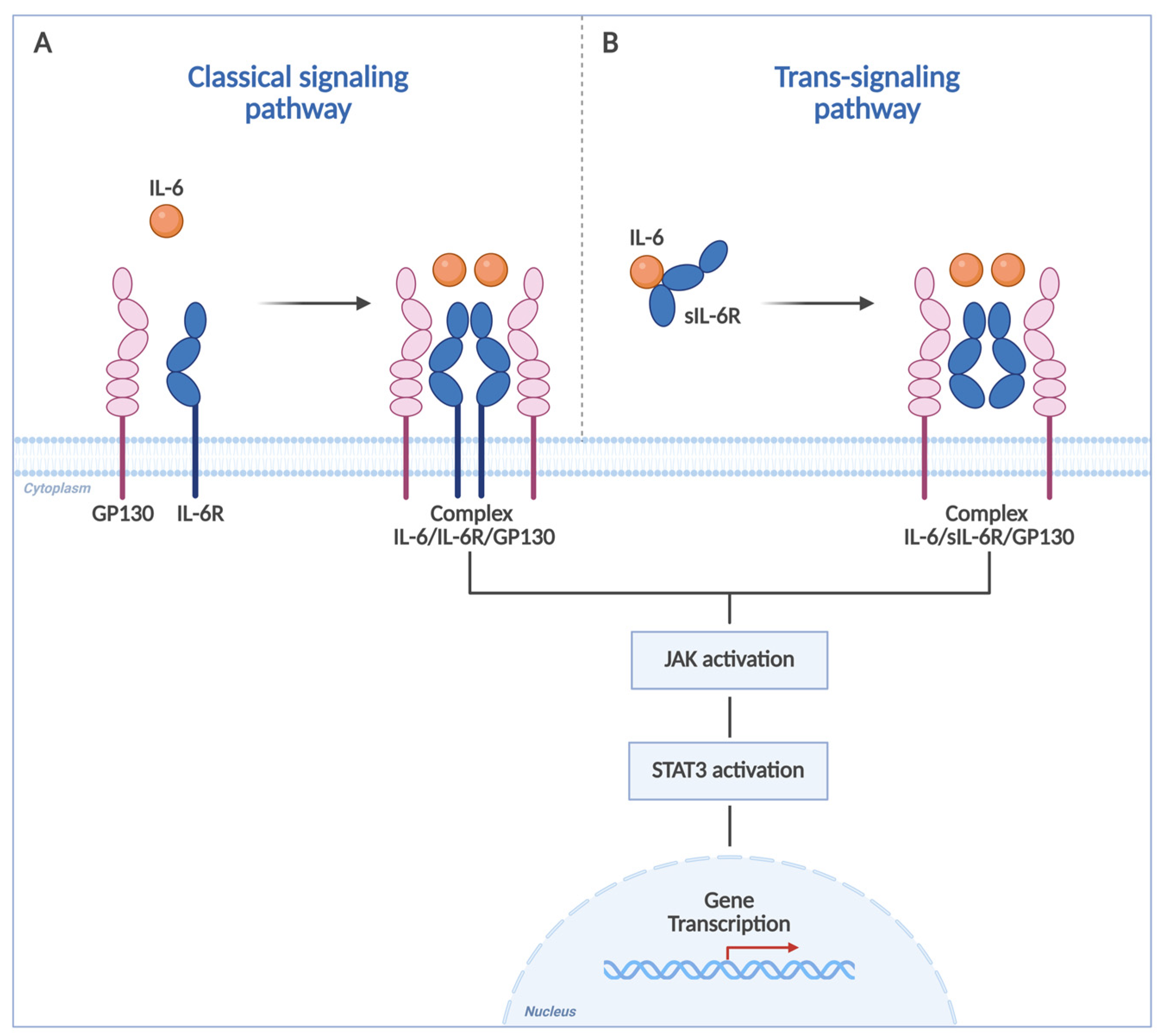 Biologics 06 00005 g001