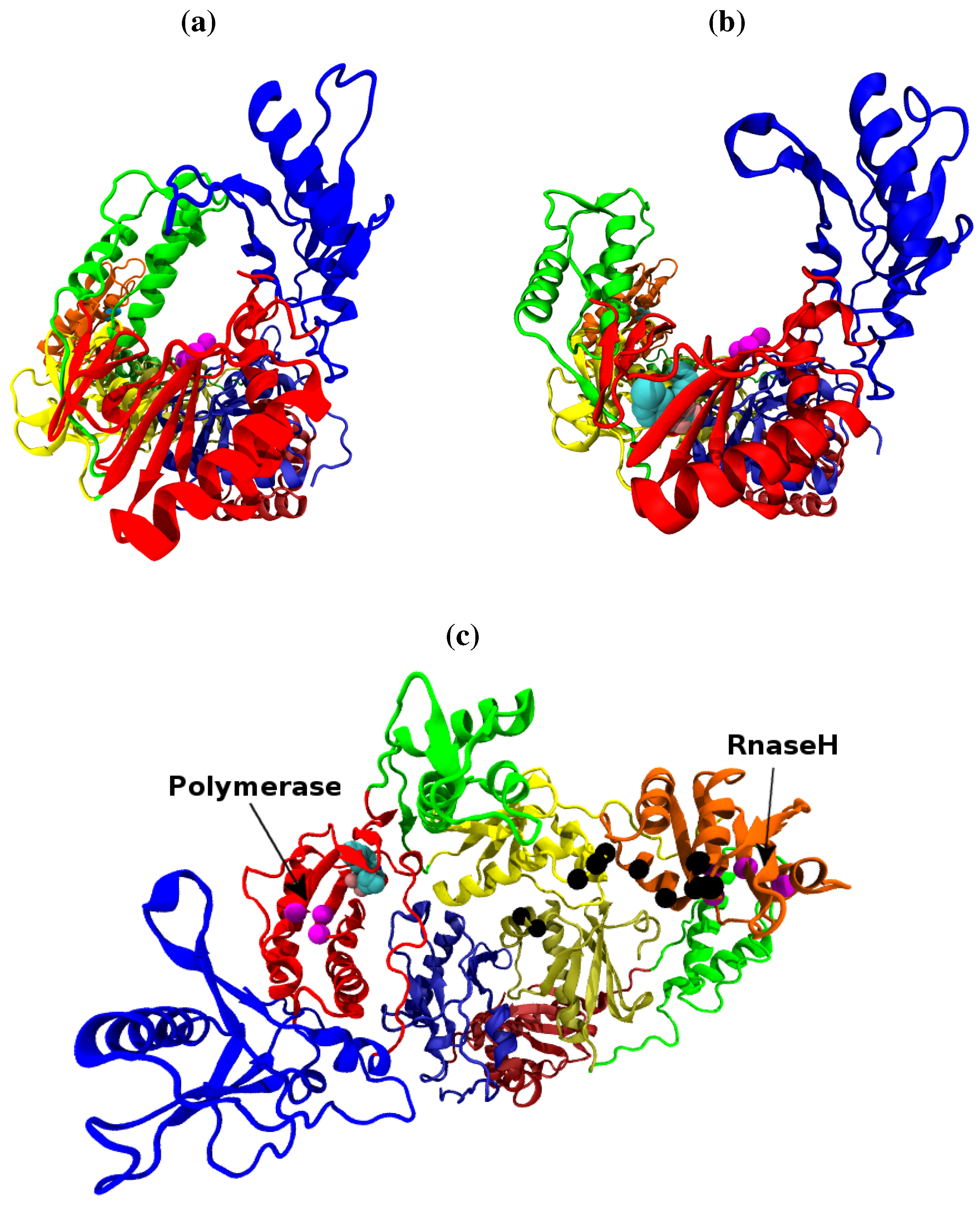 Biology | Free Full-Text | Global Conformational Dynamics of HIV-1 ... 