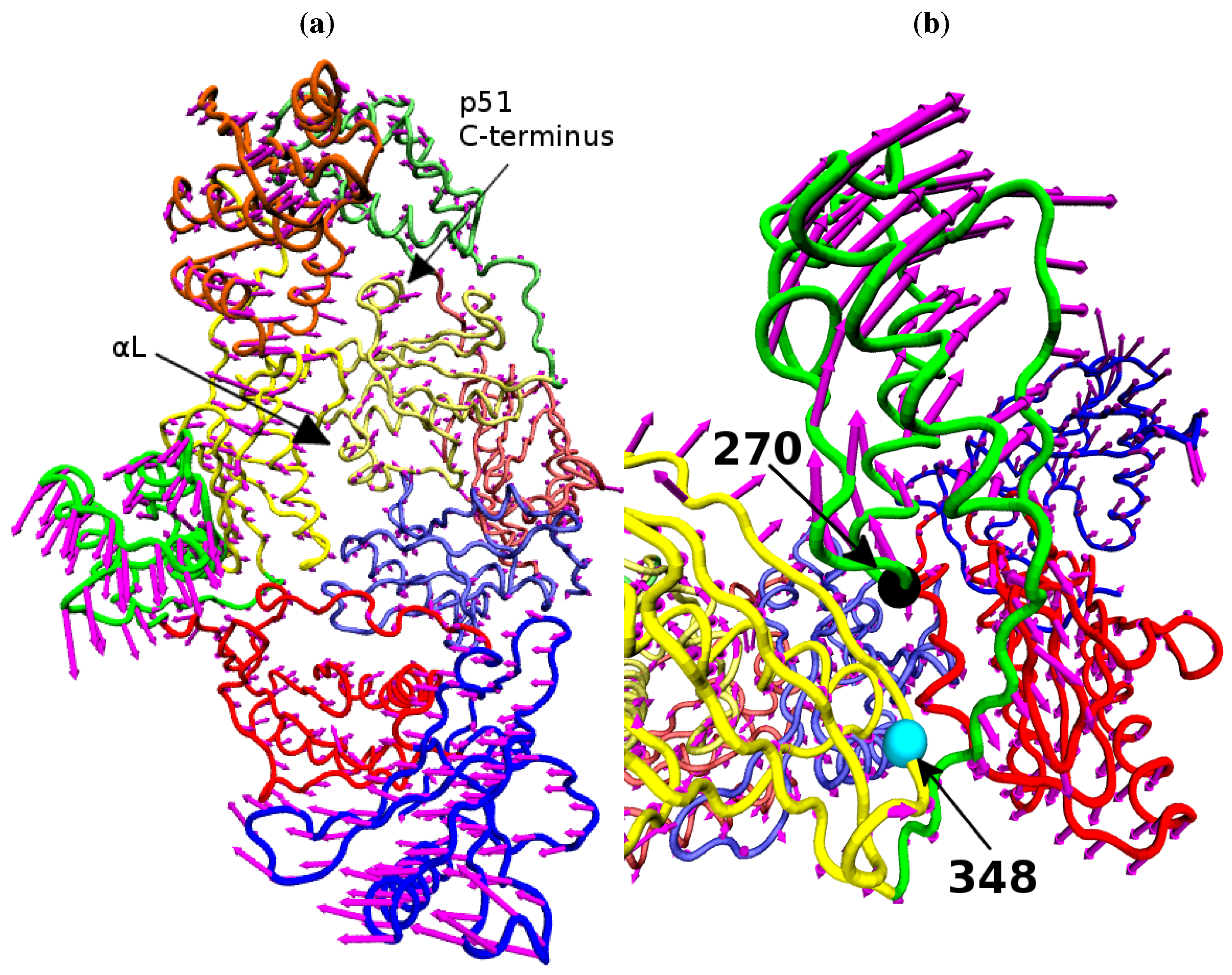Biology | Free Full-Text | Global Conformational Dynamics of HIV-1 ... 