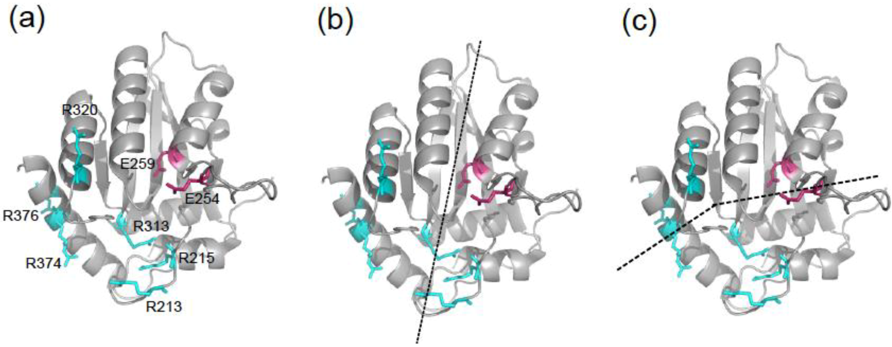 Biology 01 00260 g001 1024