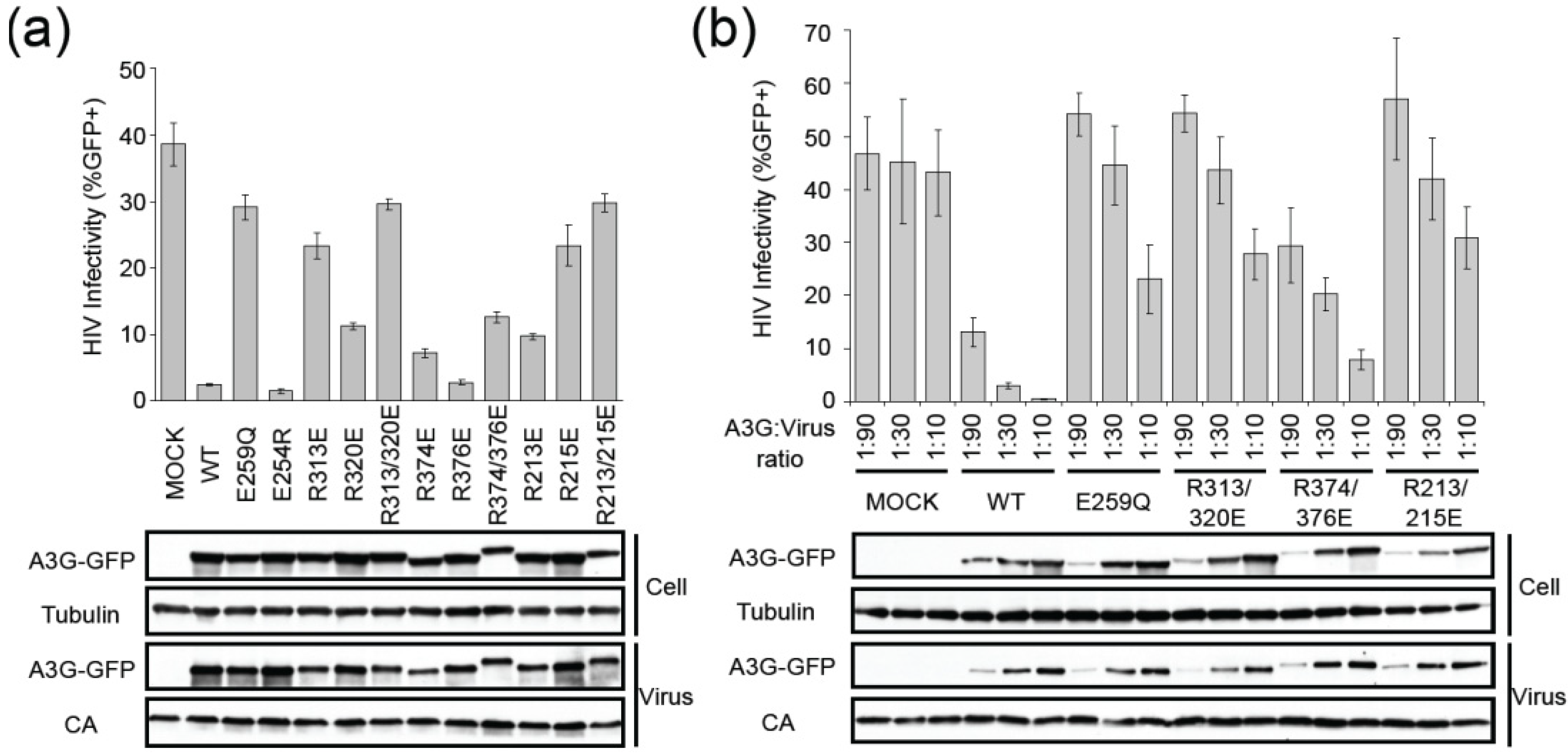 Biology 01 00260 g003 1024