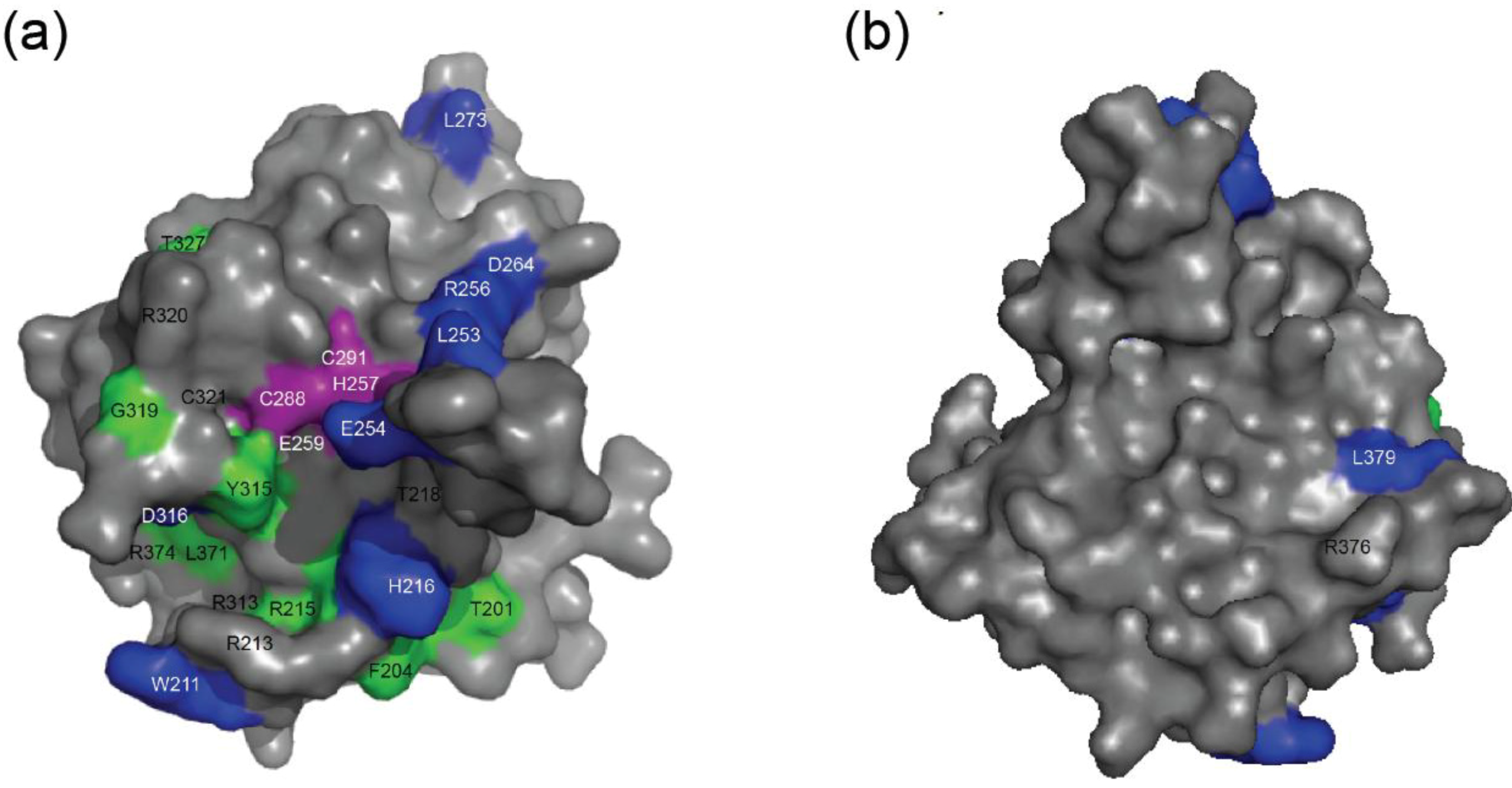 Biology 01 00260 g007 1024