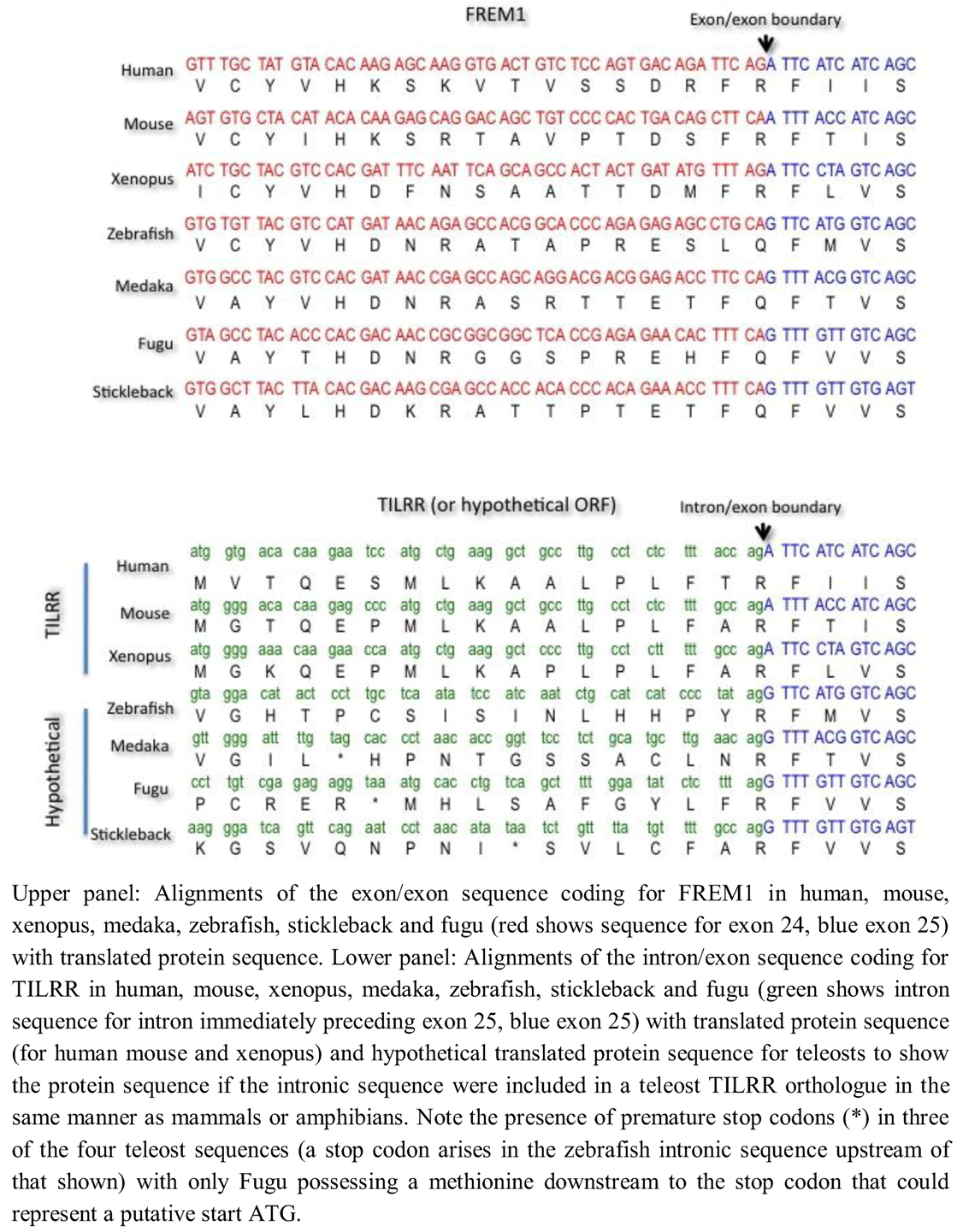 Biology 01 00484 g005 1024